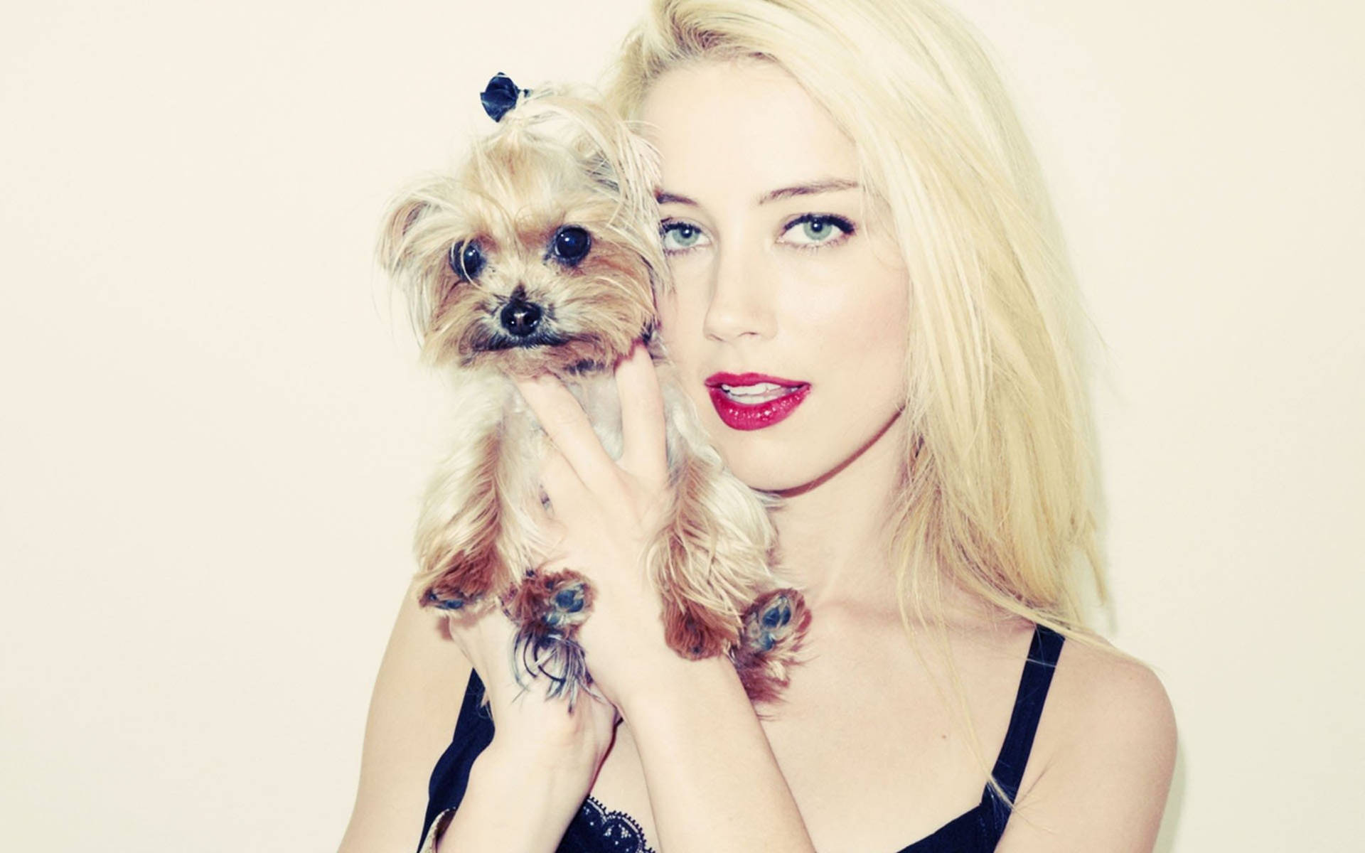 Amber Heard And Terrier Boo Background