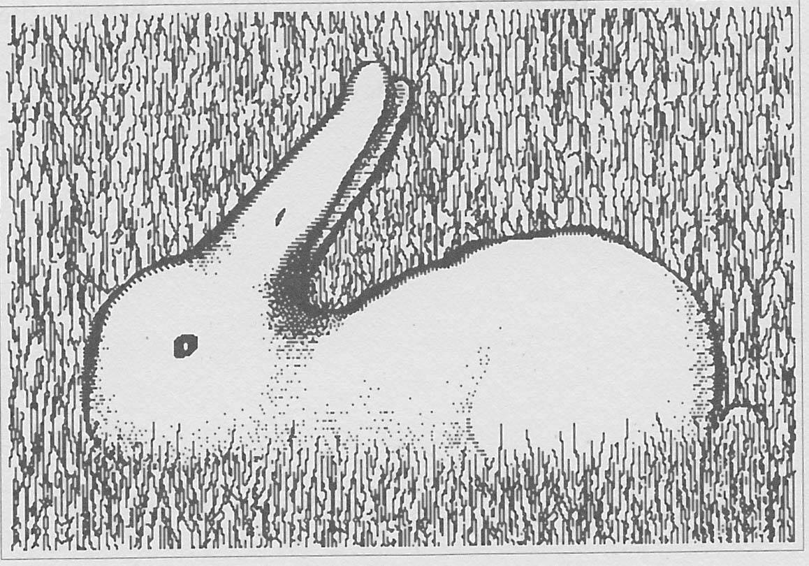 Ambiguous Rabbit On The Grass Background