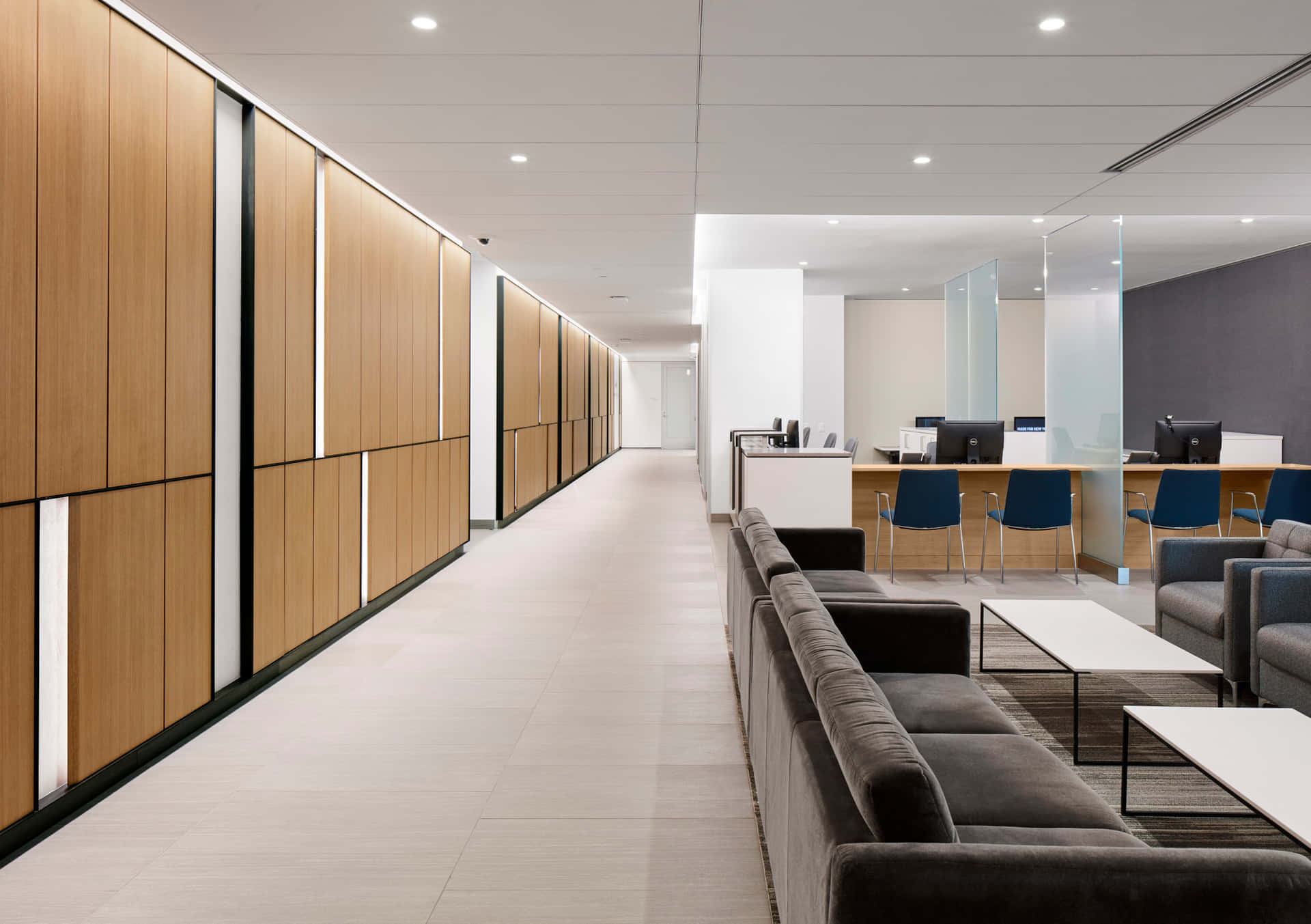 Ambulatory Hall Background