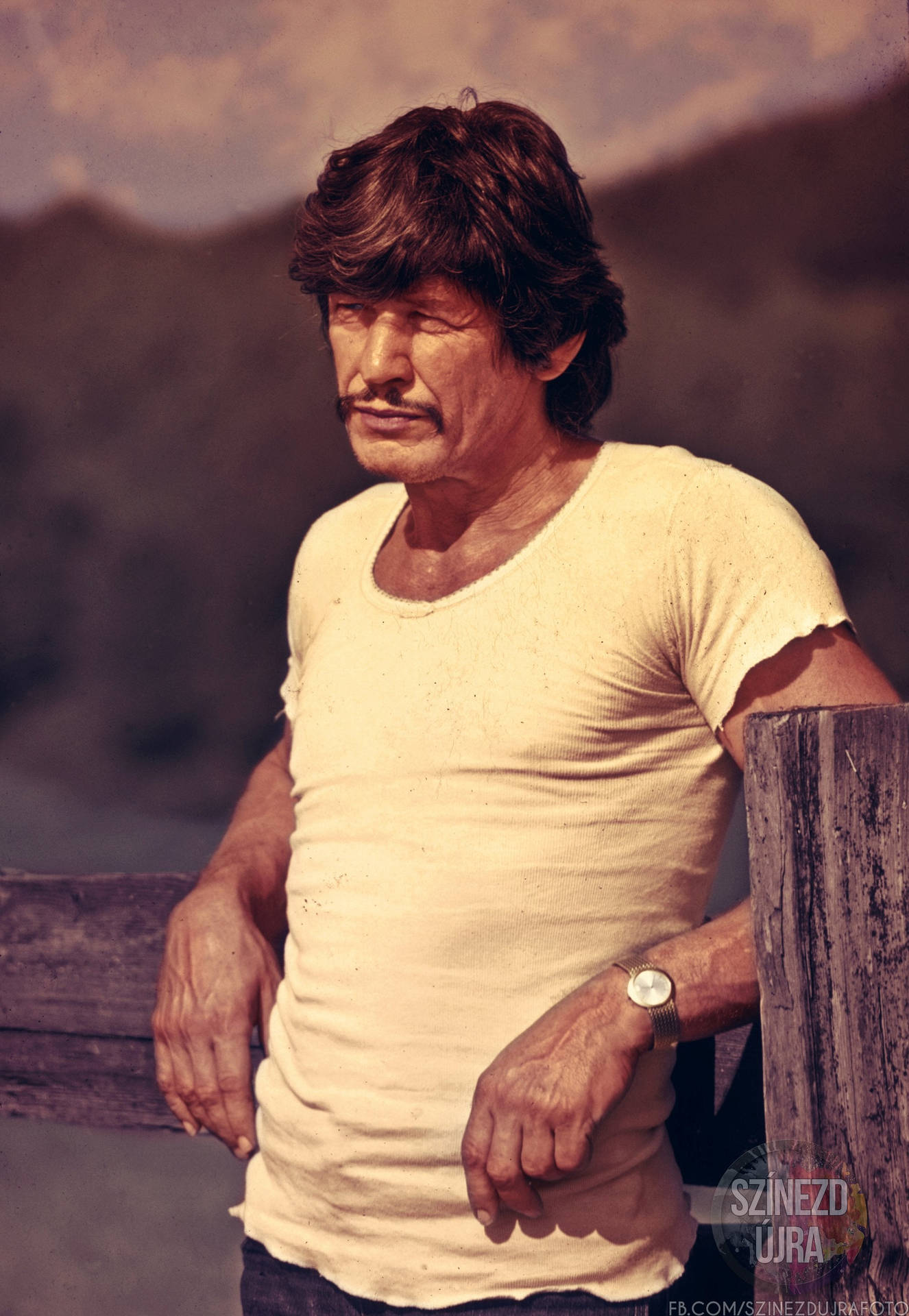 American Actor Charles Bronson In 1973 Background