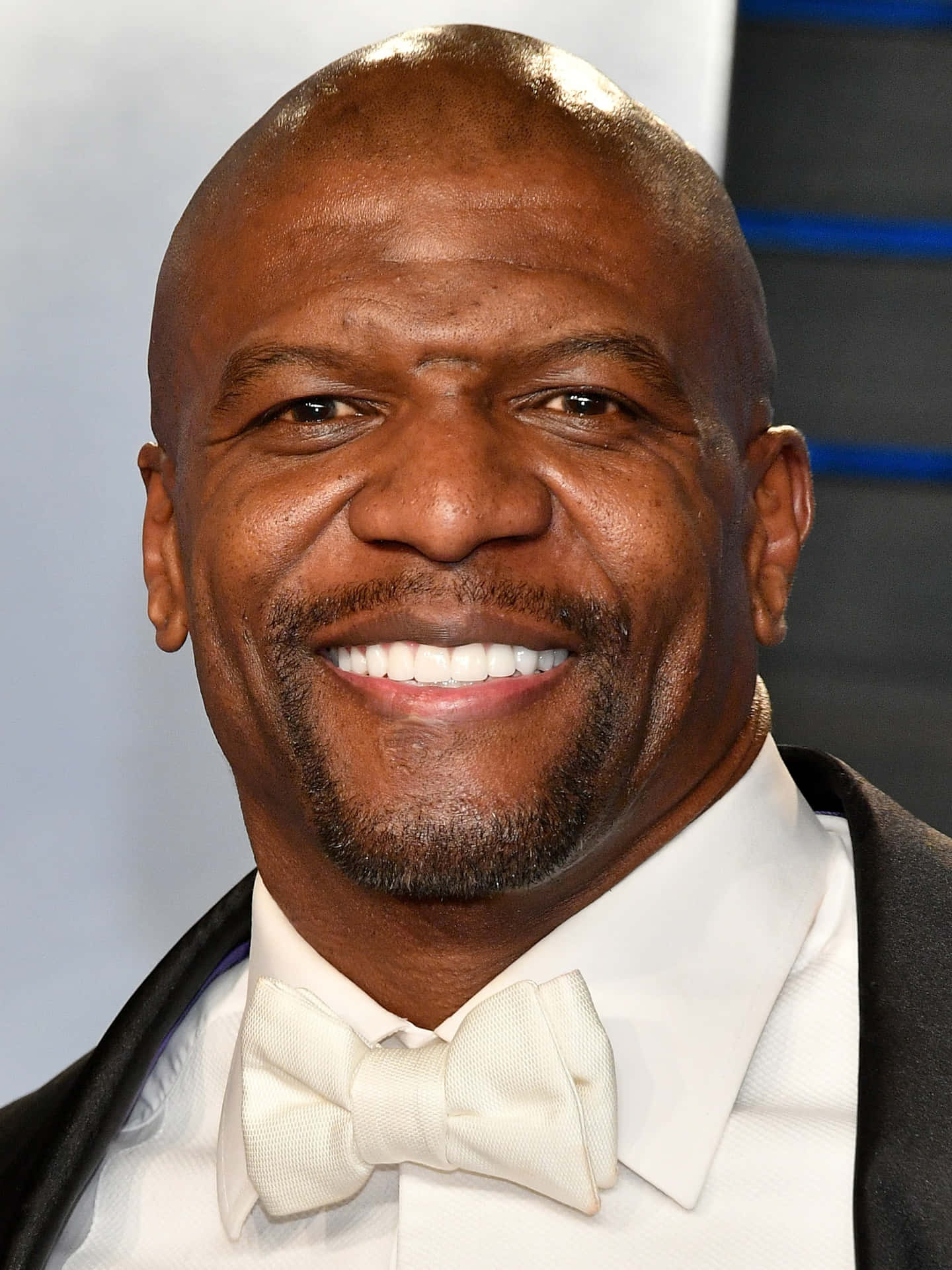 American Actor, Comedian, And Former Football Player Terry Crews. Background