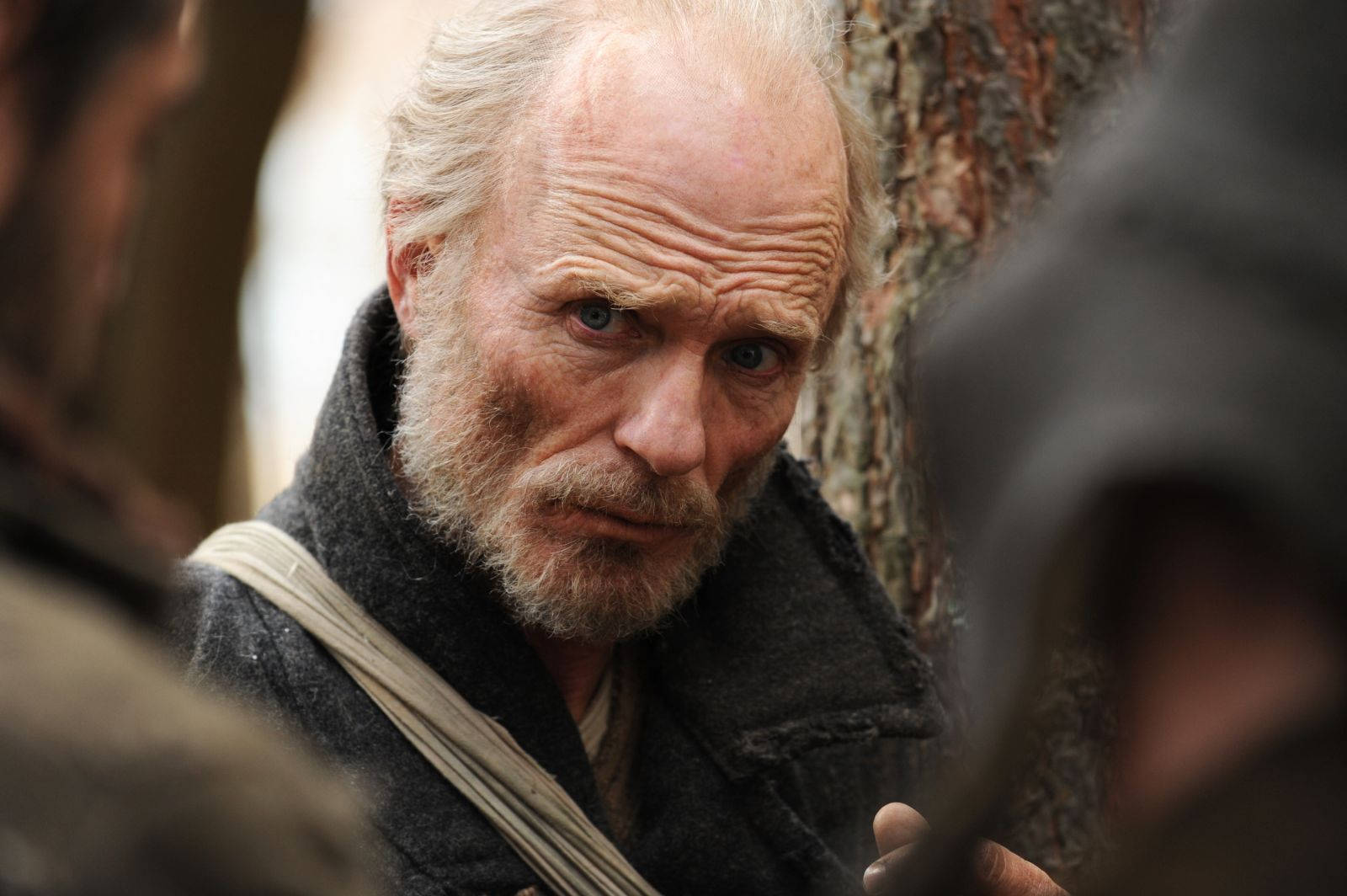 American Actor Ed Harris The Way Back Background