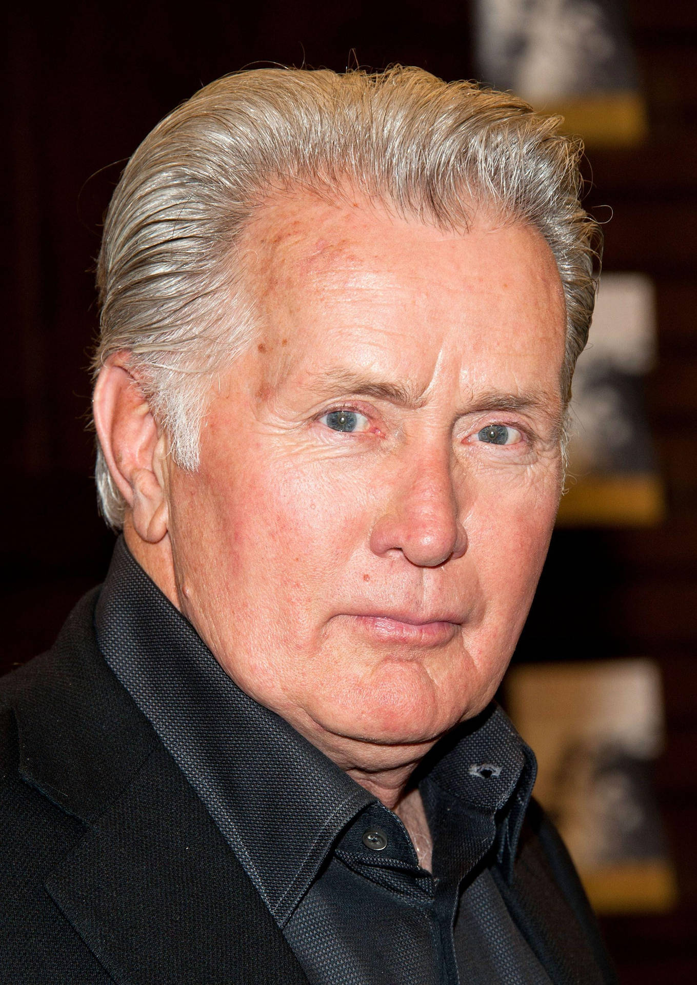 American Actor Martin Sheen Portrait Shot