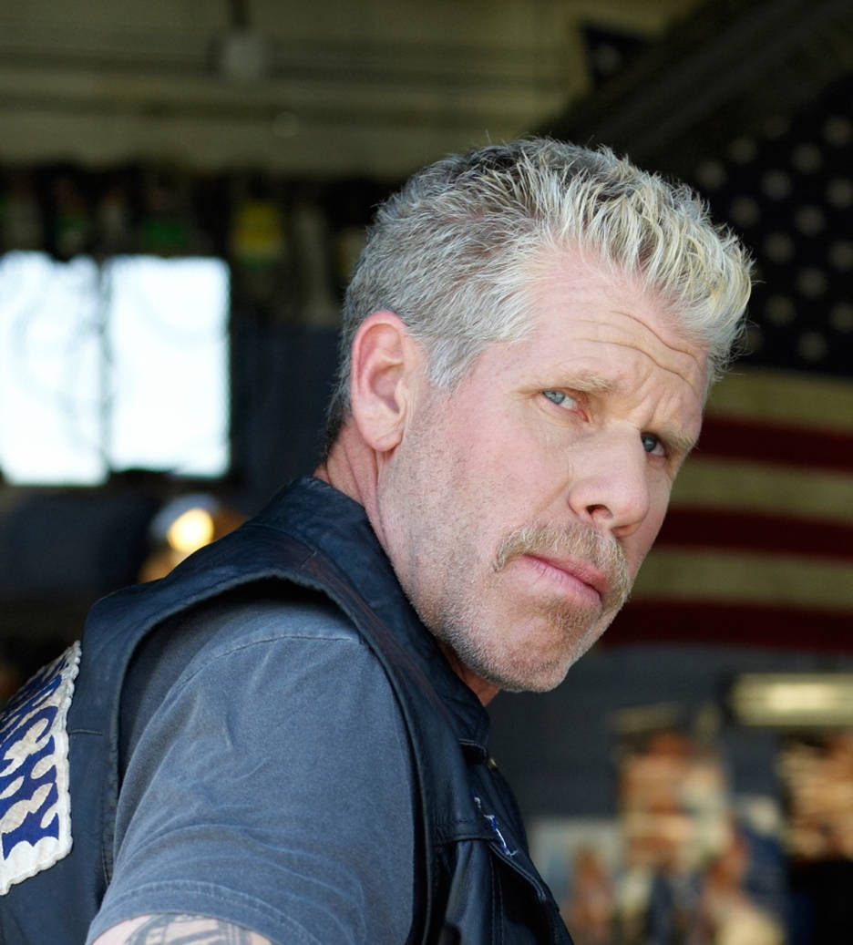 American Actor Ron Perlman