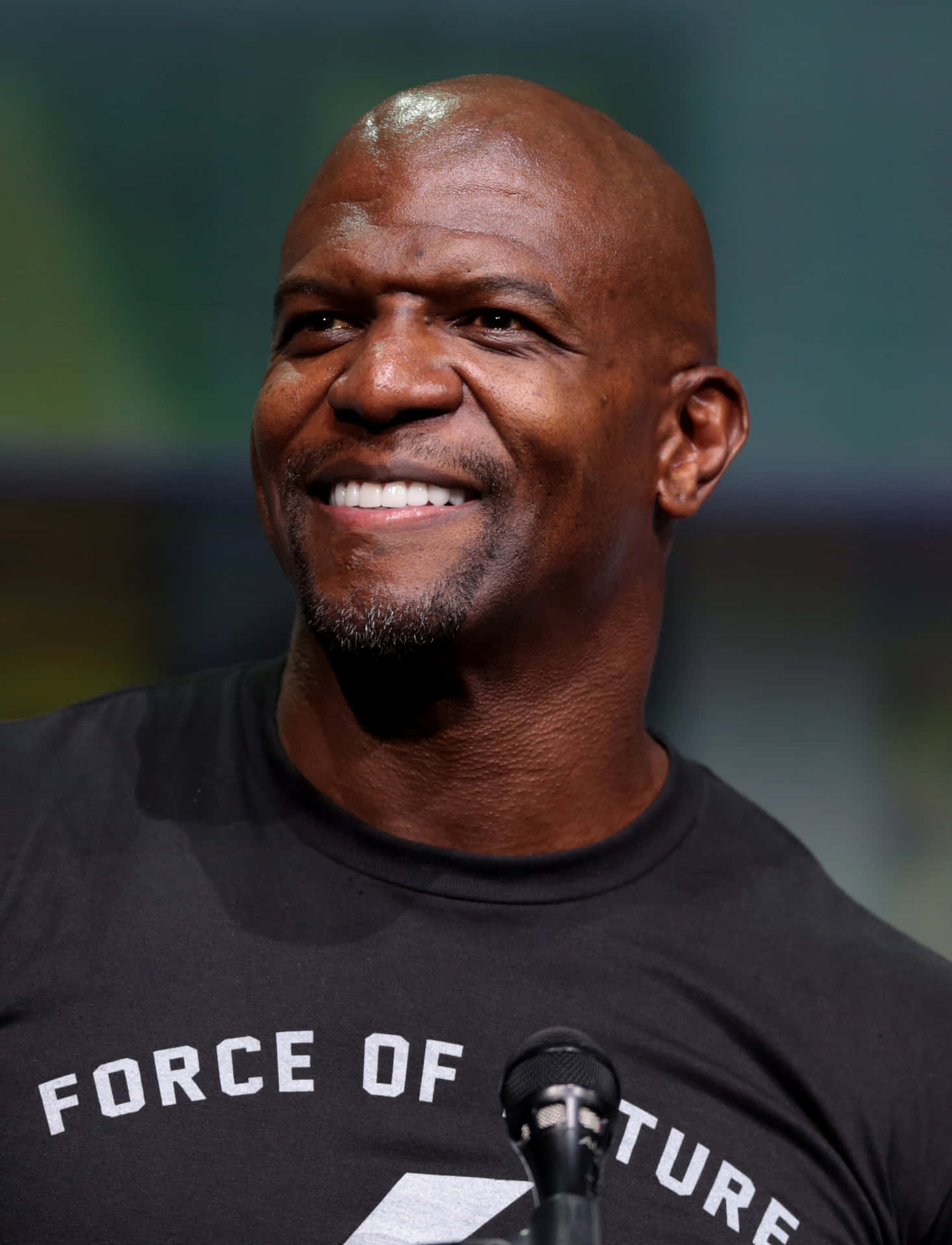 American Actor, Terry Crews Background