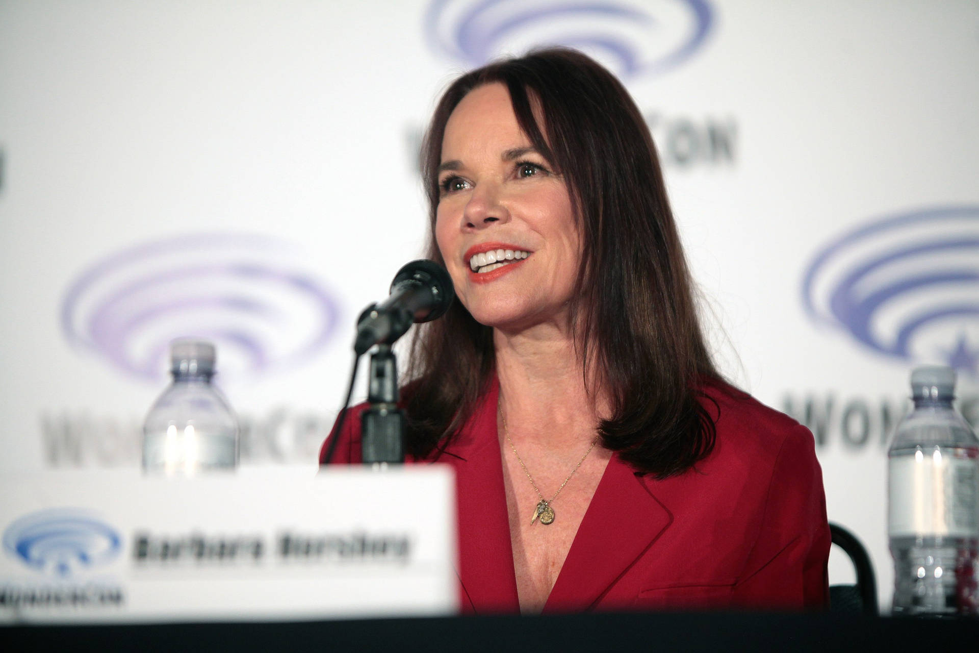 American Actress Barbara Hershey Speaking Background