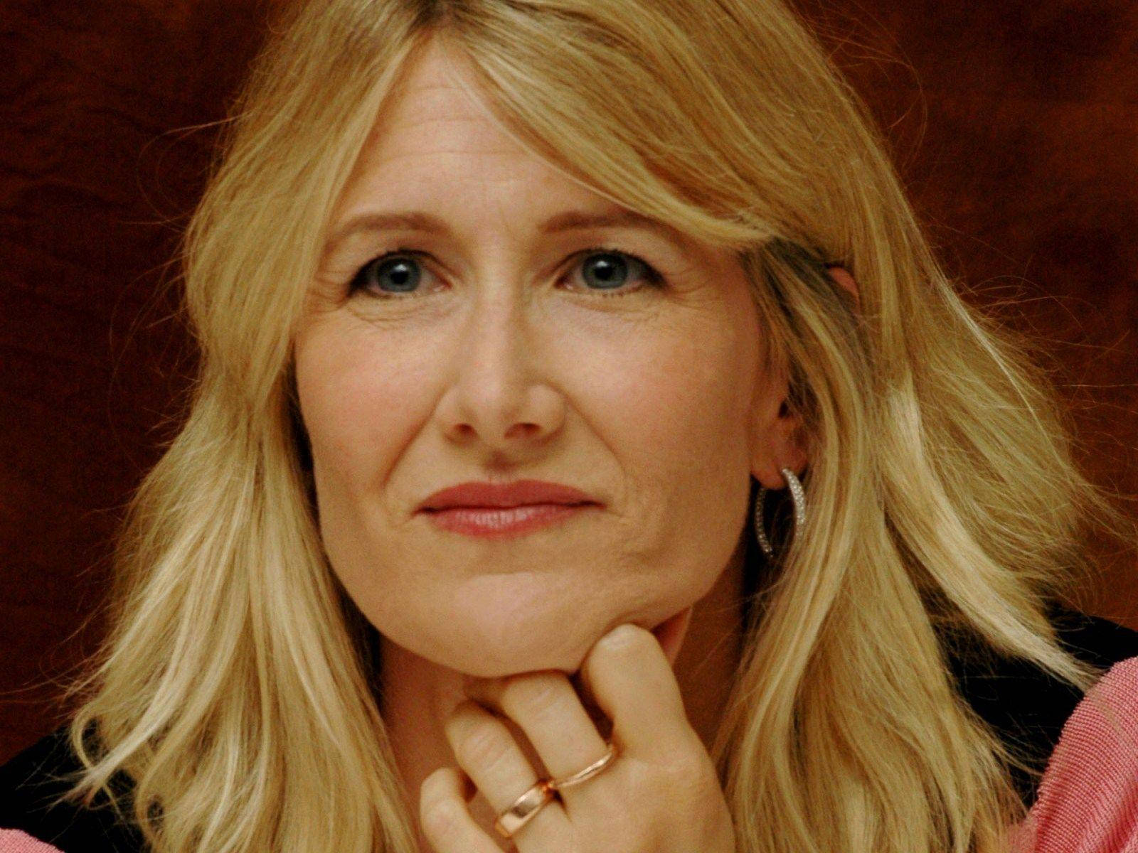 American Actress Laura Dern Pretty Face