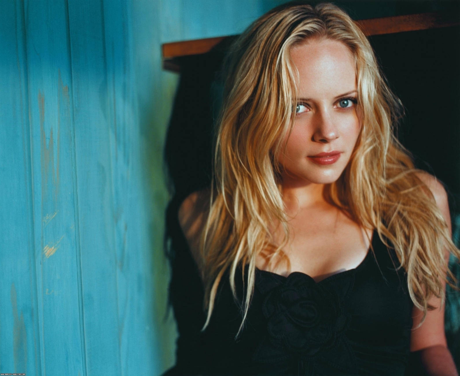 American Actress Marley Shelton Photoshoot Background