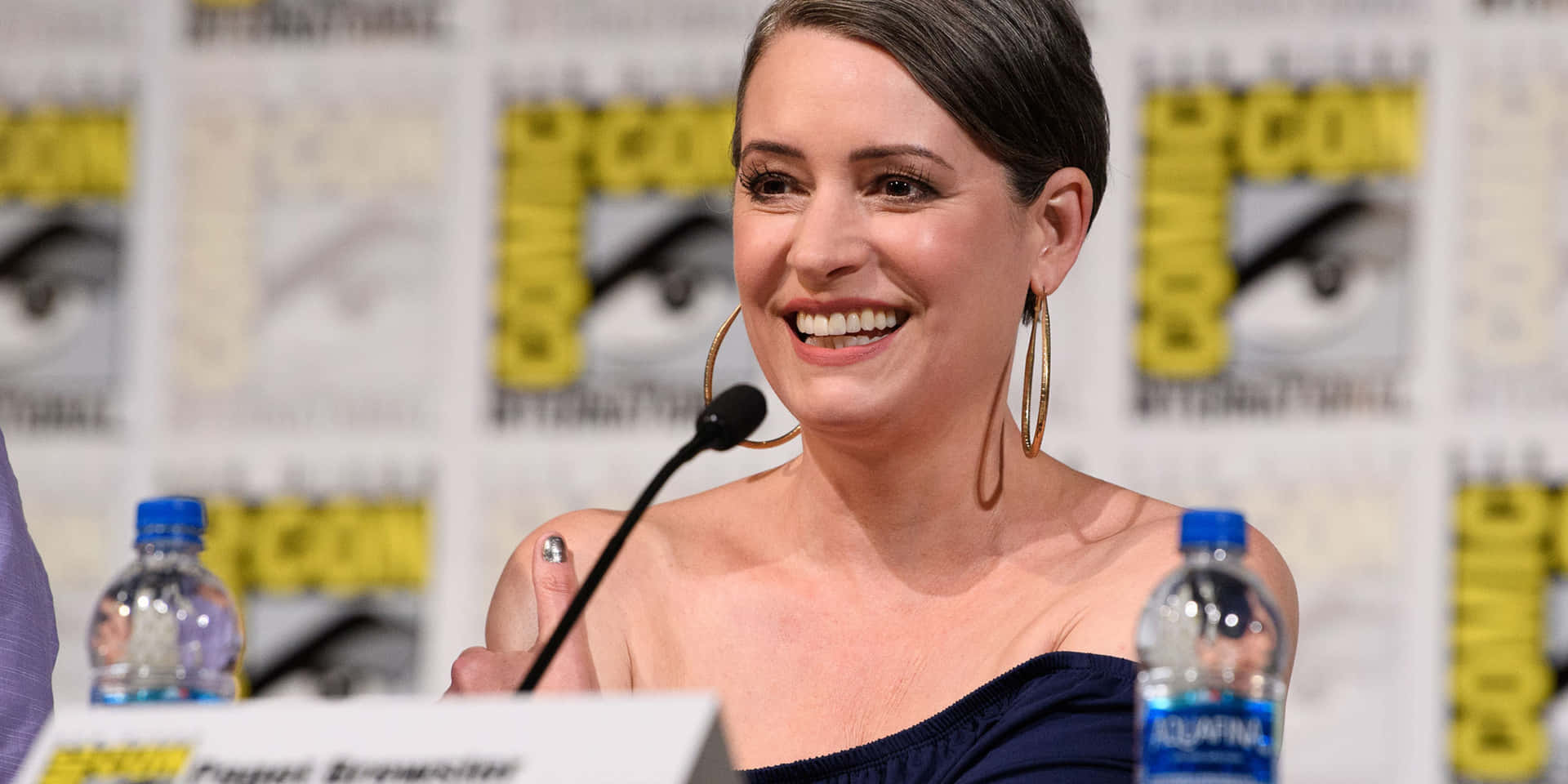 American Actress Paget Brewster Stunning Look Background