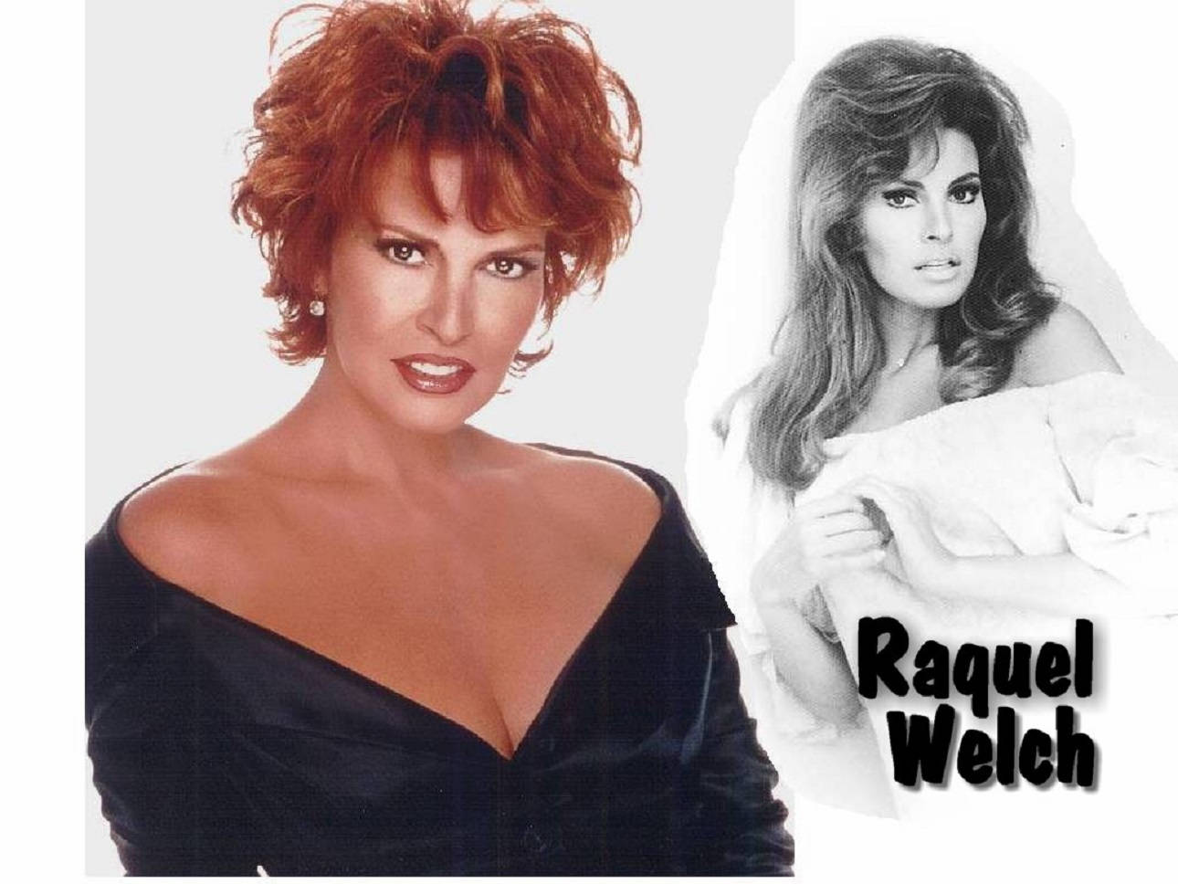 American Actress Raquel Welch Illustration Background