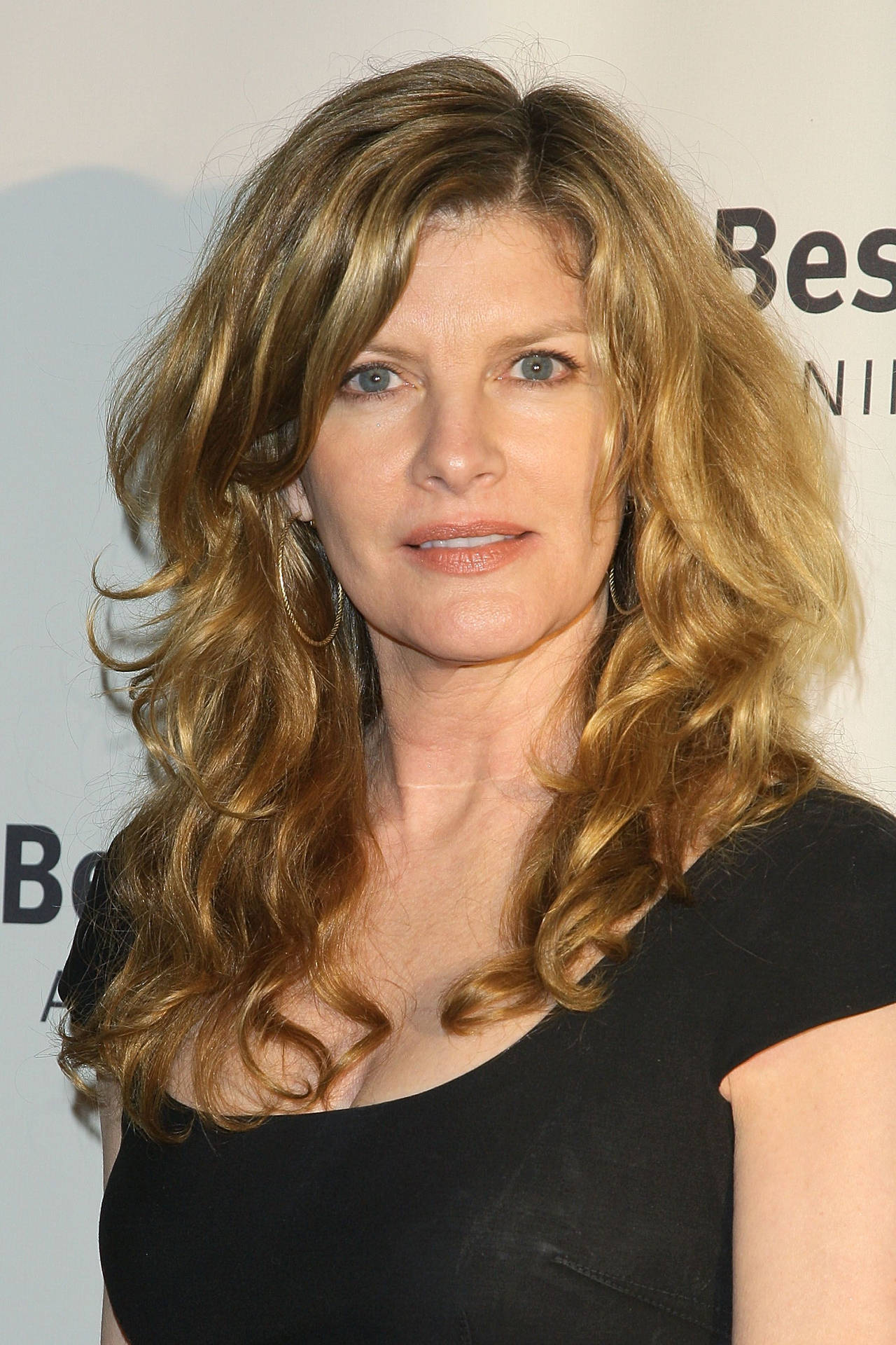 American Actress Rene Russo At 15th Annual Lint Roller Party Background