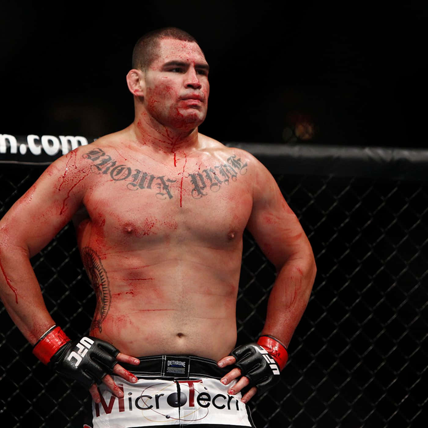 American Athlete Cain Velasquez Versus Antonio Silva Background