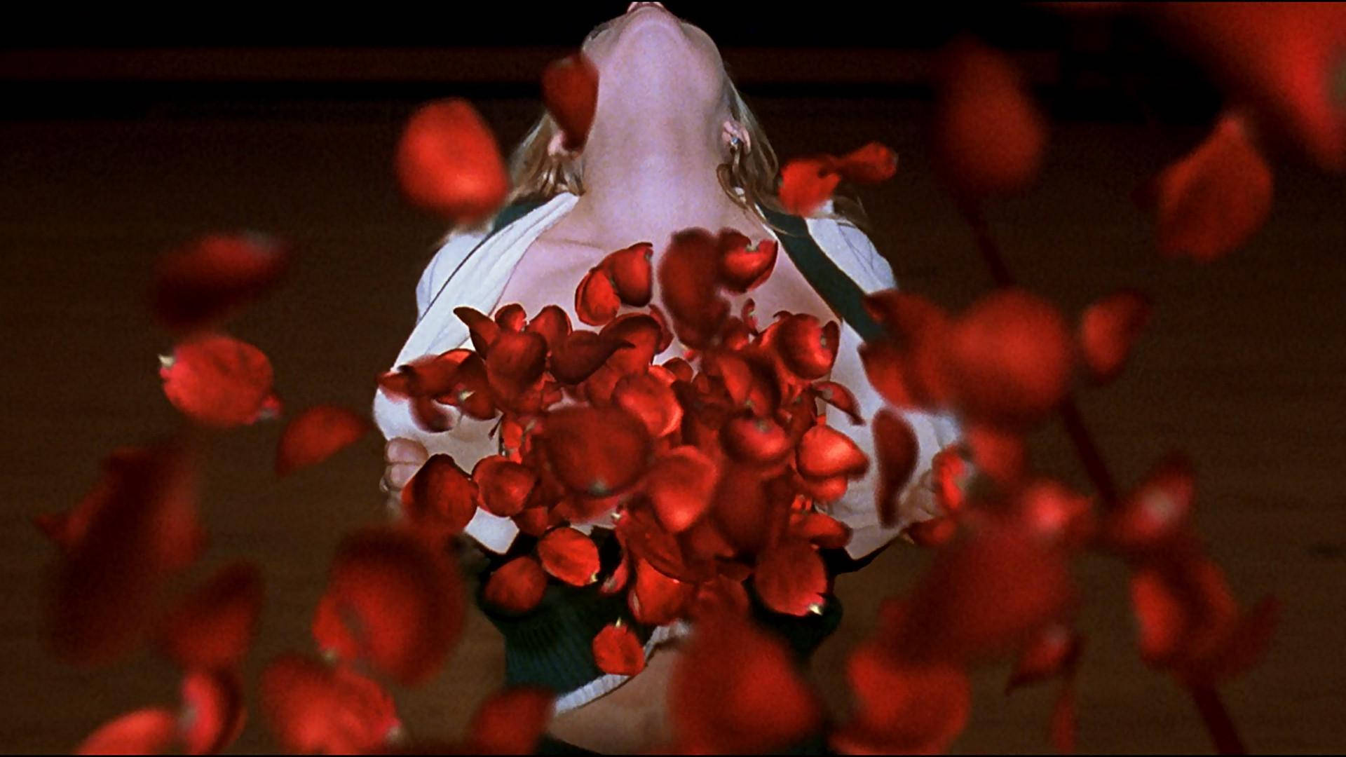 American Beauty 1999 Film Background