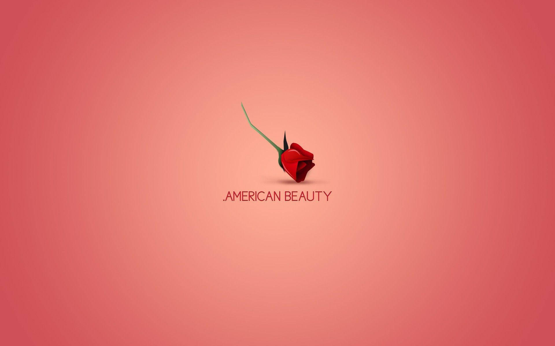 American Beauty Flipped Rose Background