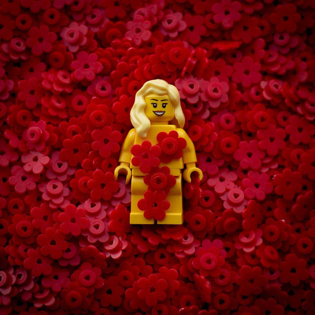 American Beauty Lego Woman Background