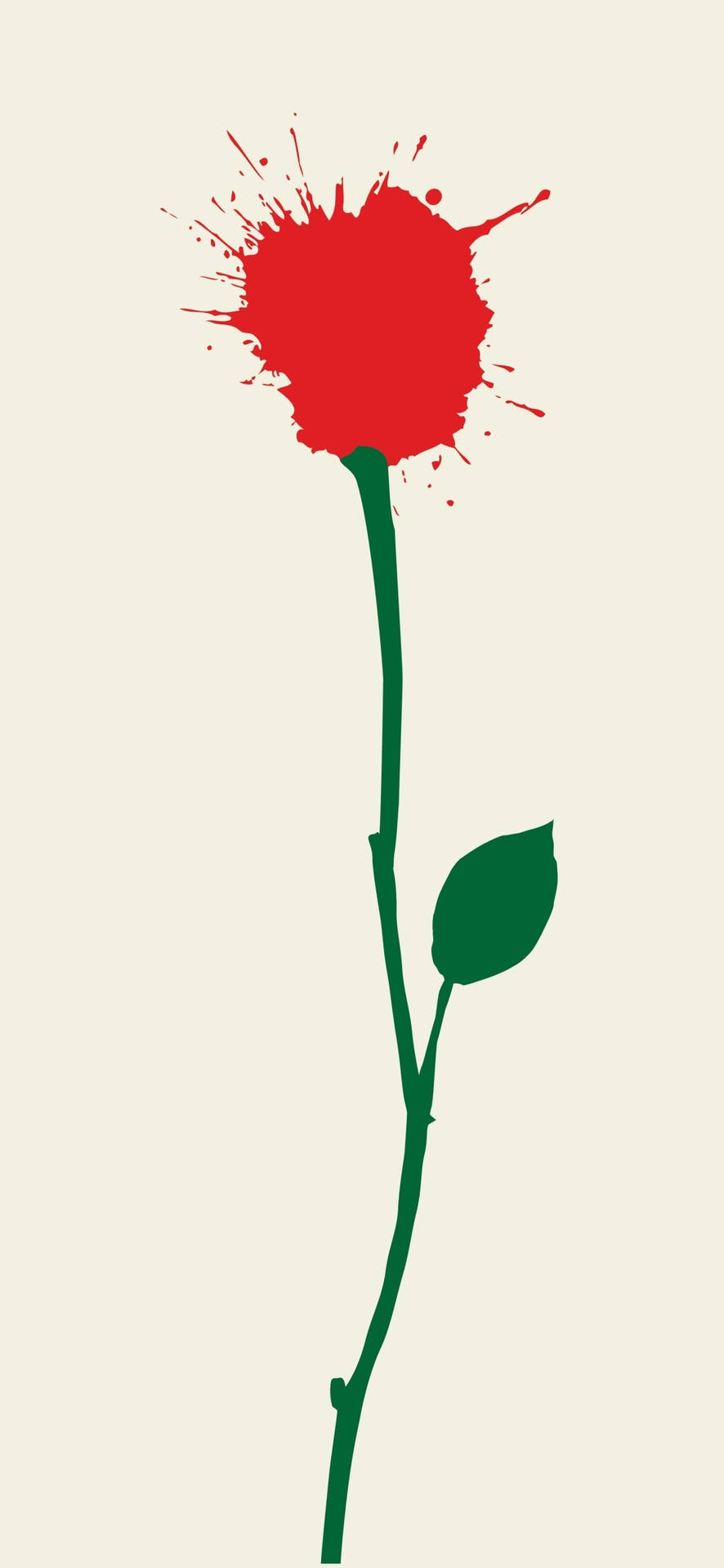 American Beauty Rose Animation Background