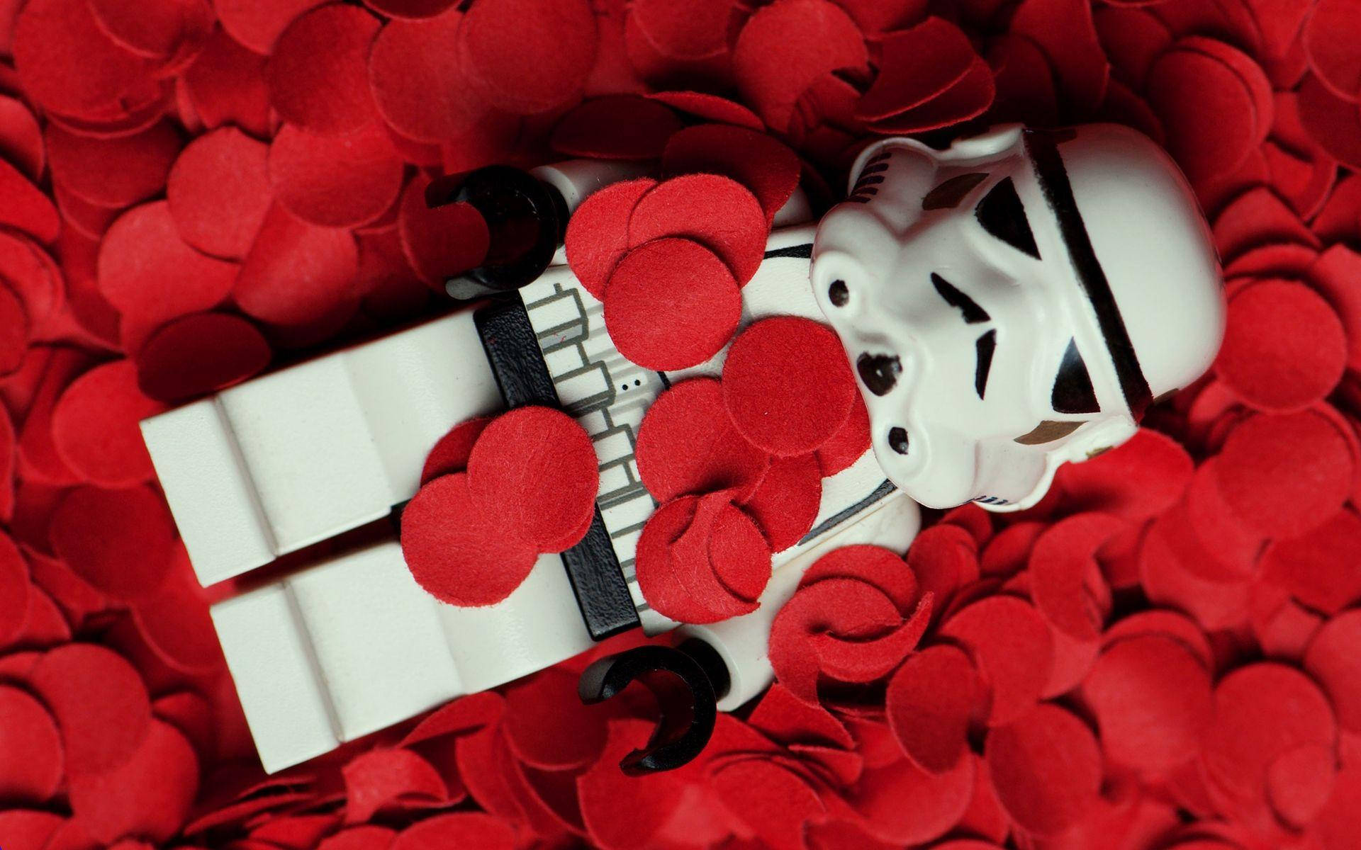 American Beauty White Lego Toy Background