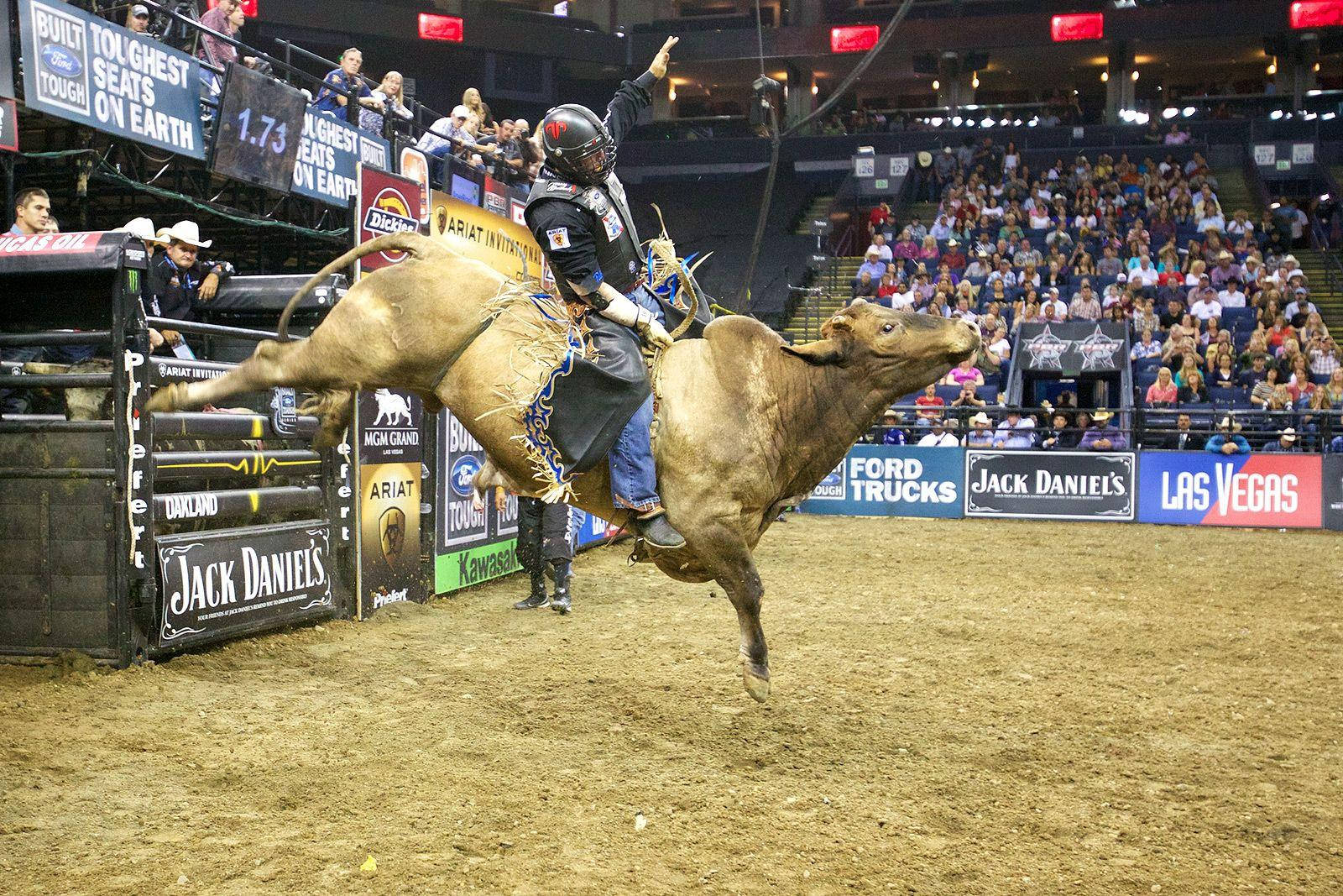 American Bull Riding Competition Background