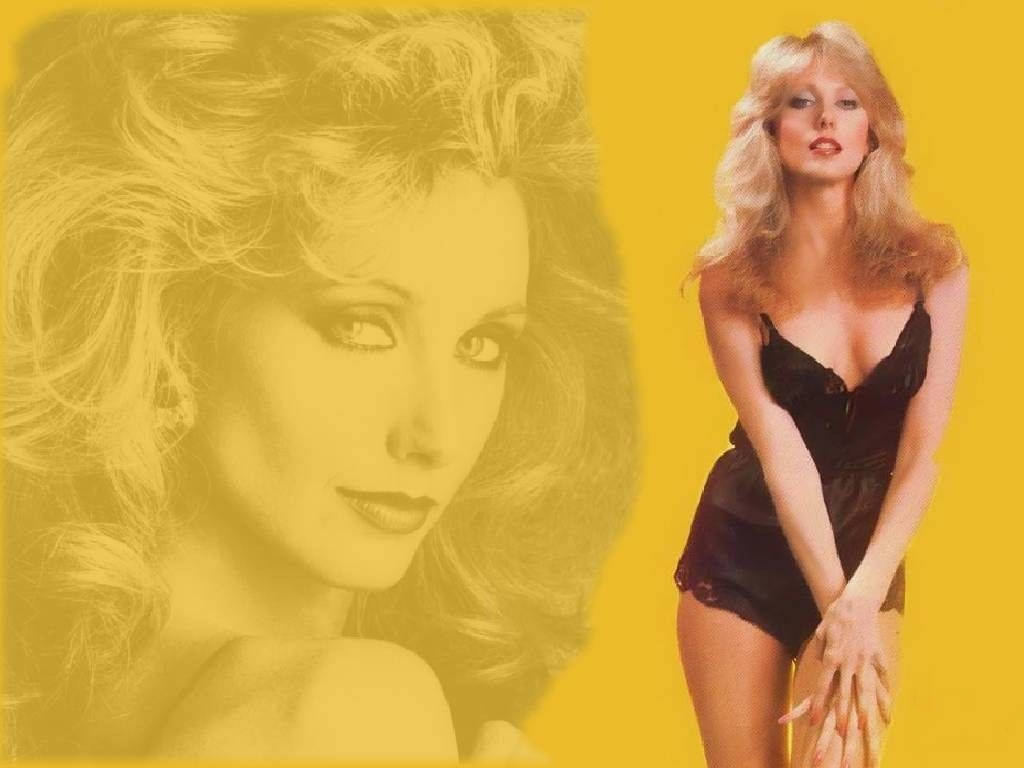 American Celebrity Morgan Fairchild Vintage Poster Background