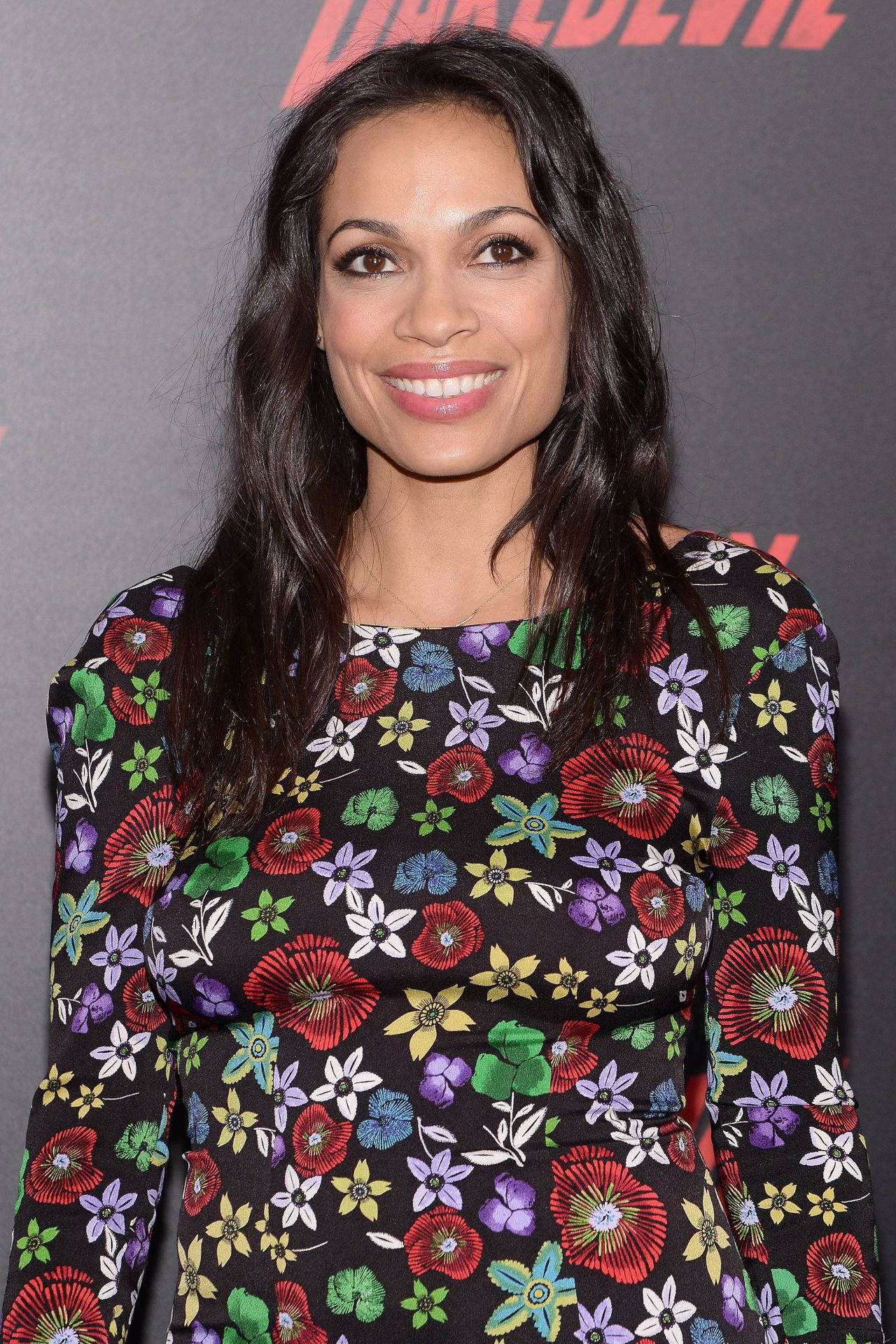 American Celebrity Rosario Dawson Background