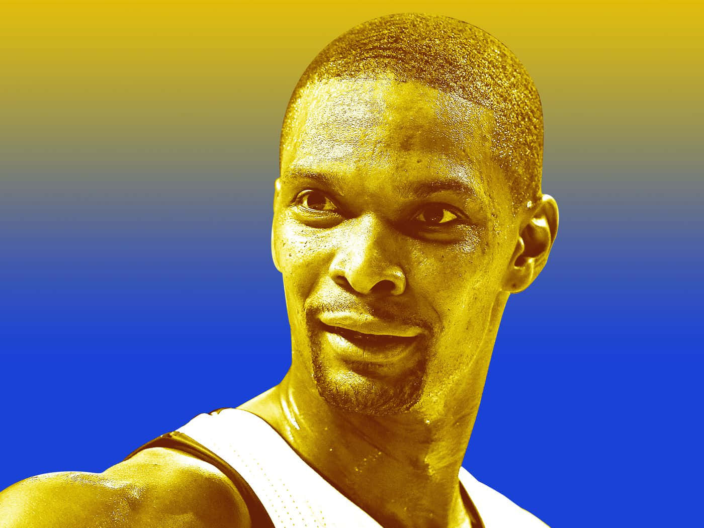 American Chris Bosh Digital Illustration