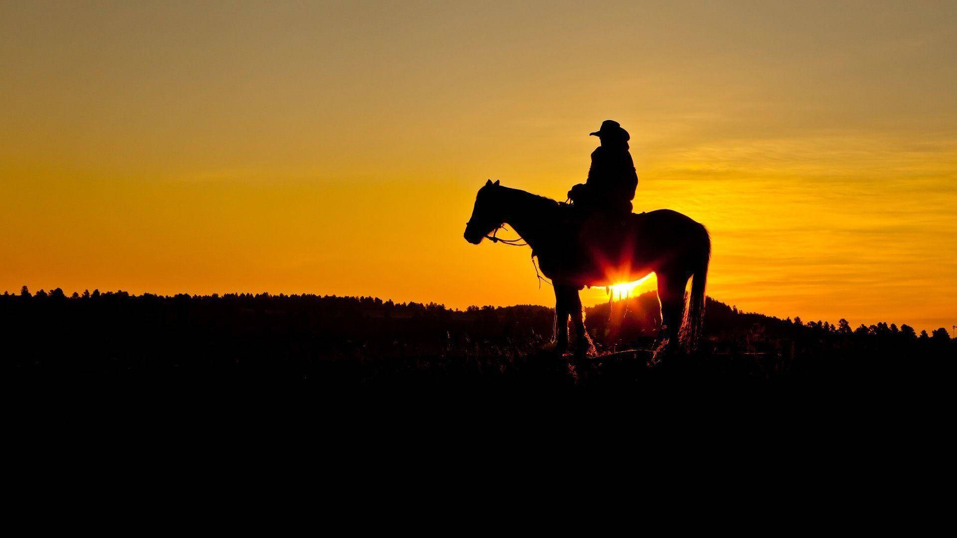 American Cowboy Silhouette Background