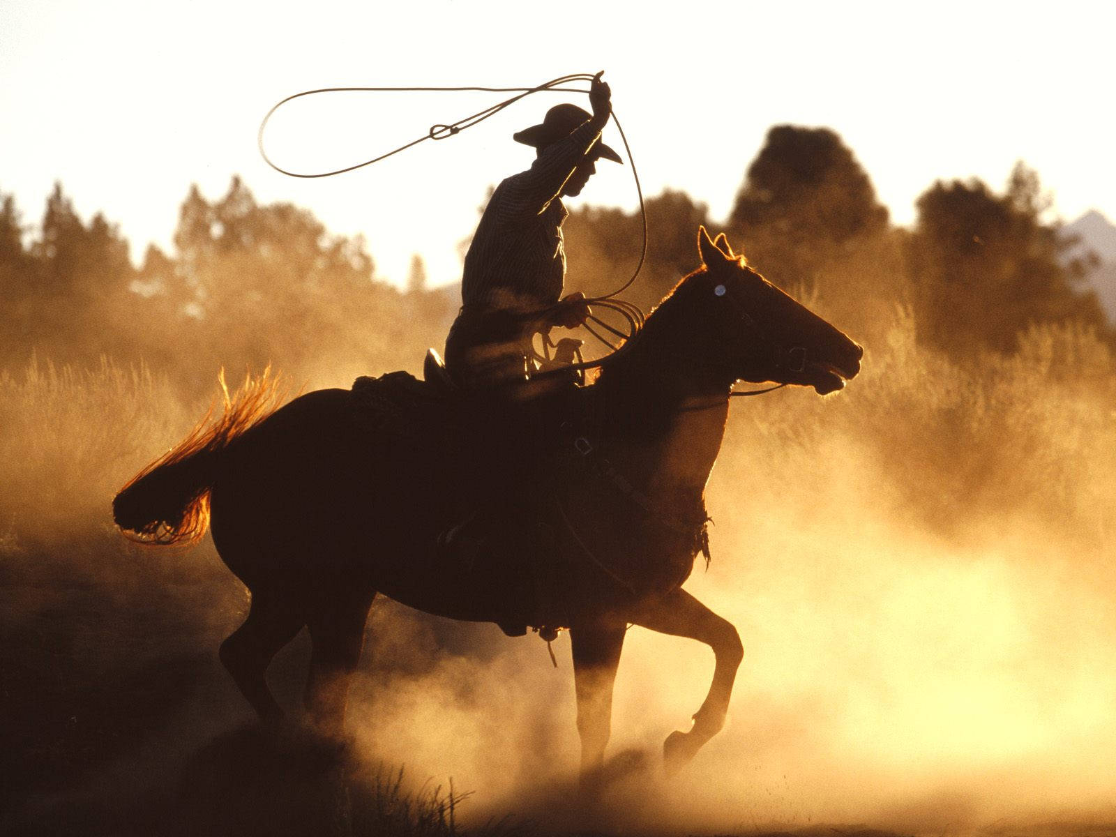 American Cowboy - Steeped In Tradition Background