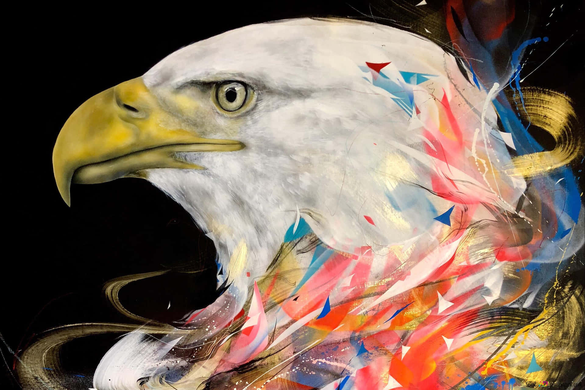 American Eagle | Freedom In Style Background