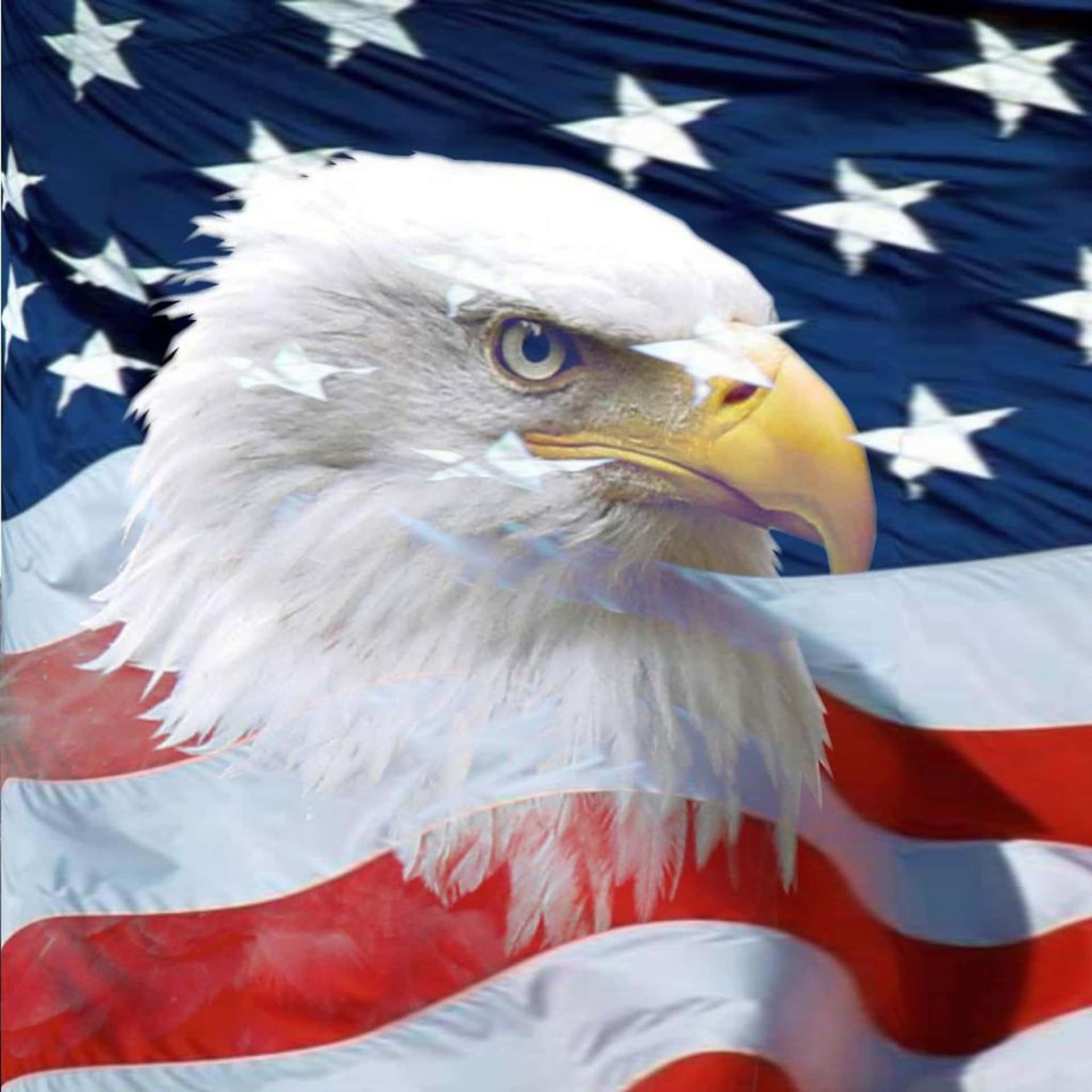American Eagle Soars Across The Sky Background