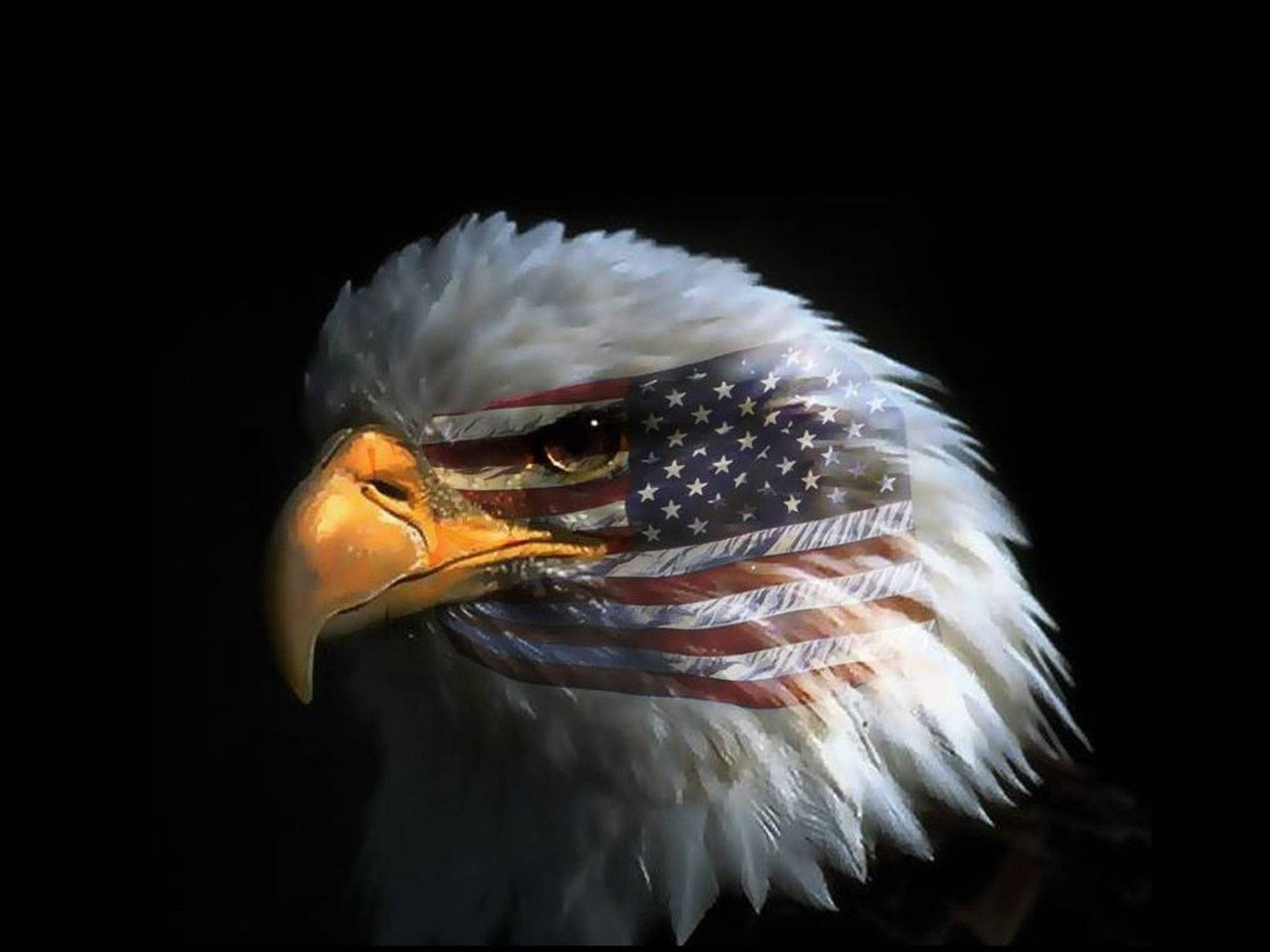 American Eagle With Flag Background