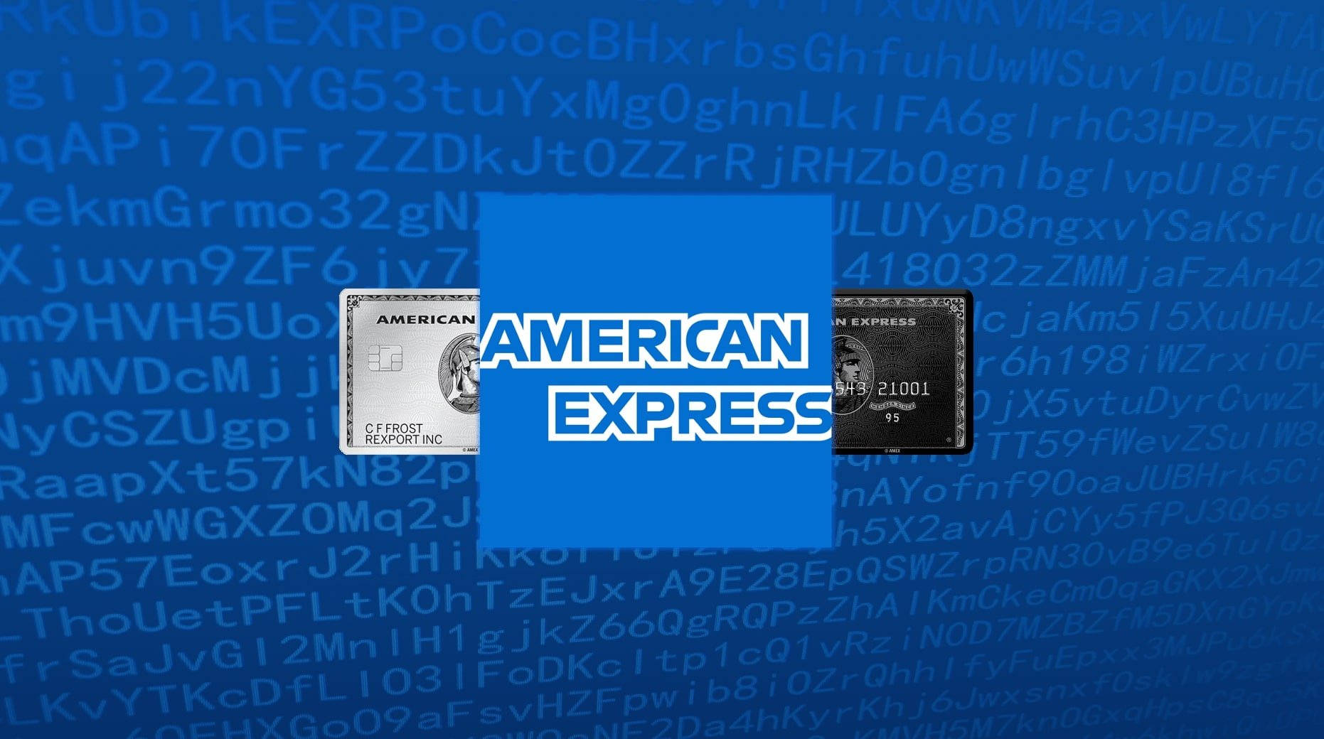 American Express Data Privacy
