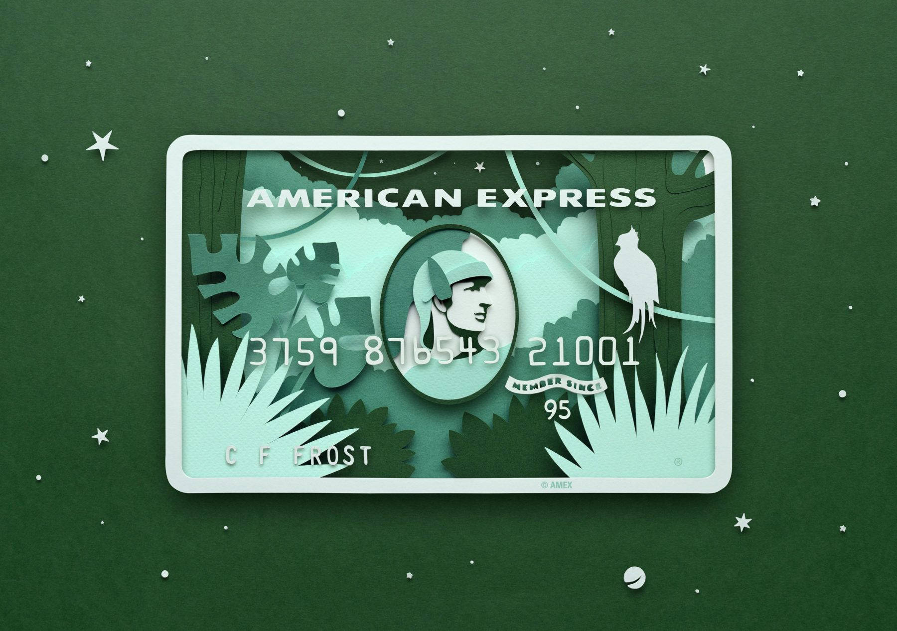 American Express Forest Art Card Background