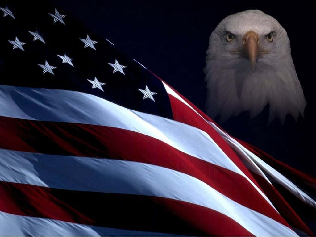 American Flag And Bald Eagle Patriotic Military Background