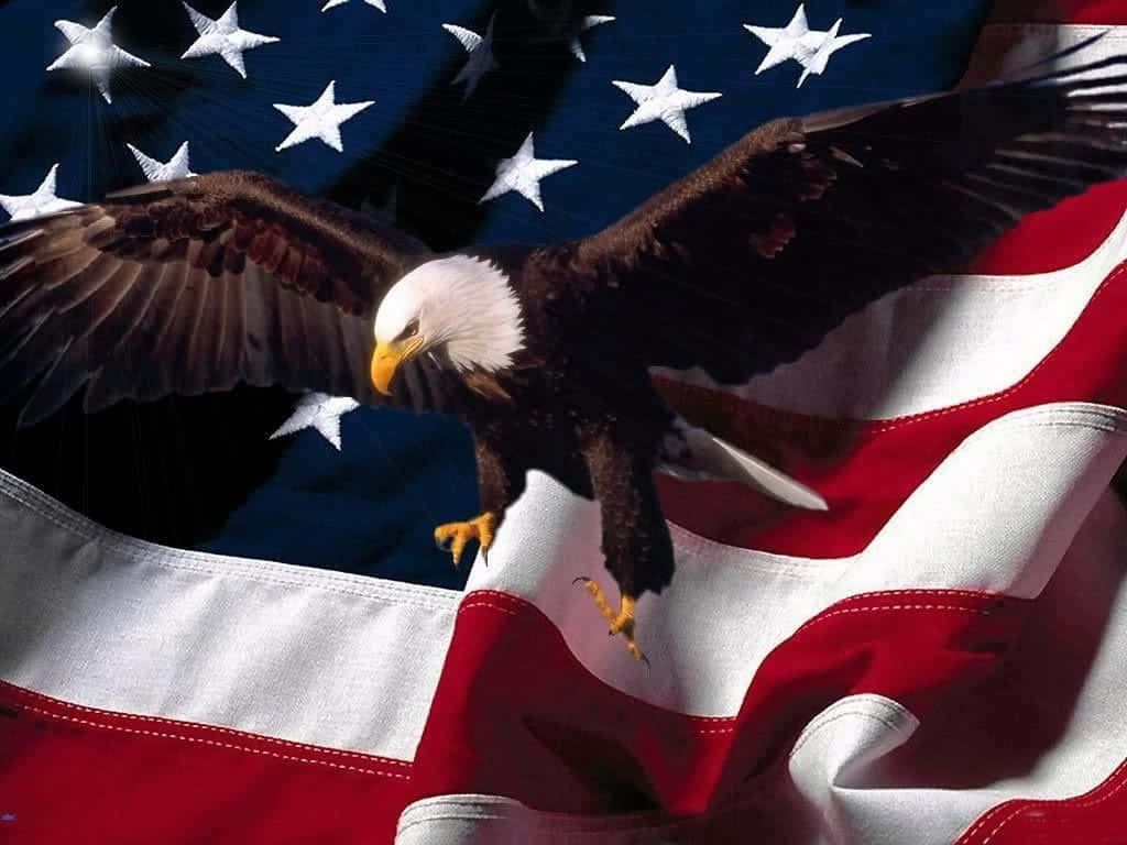 American Flag And Flying Bald Eagle Patriotic Military Background