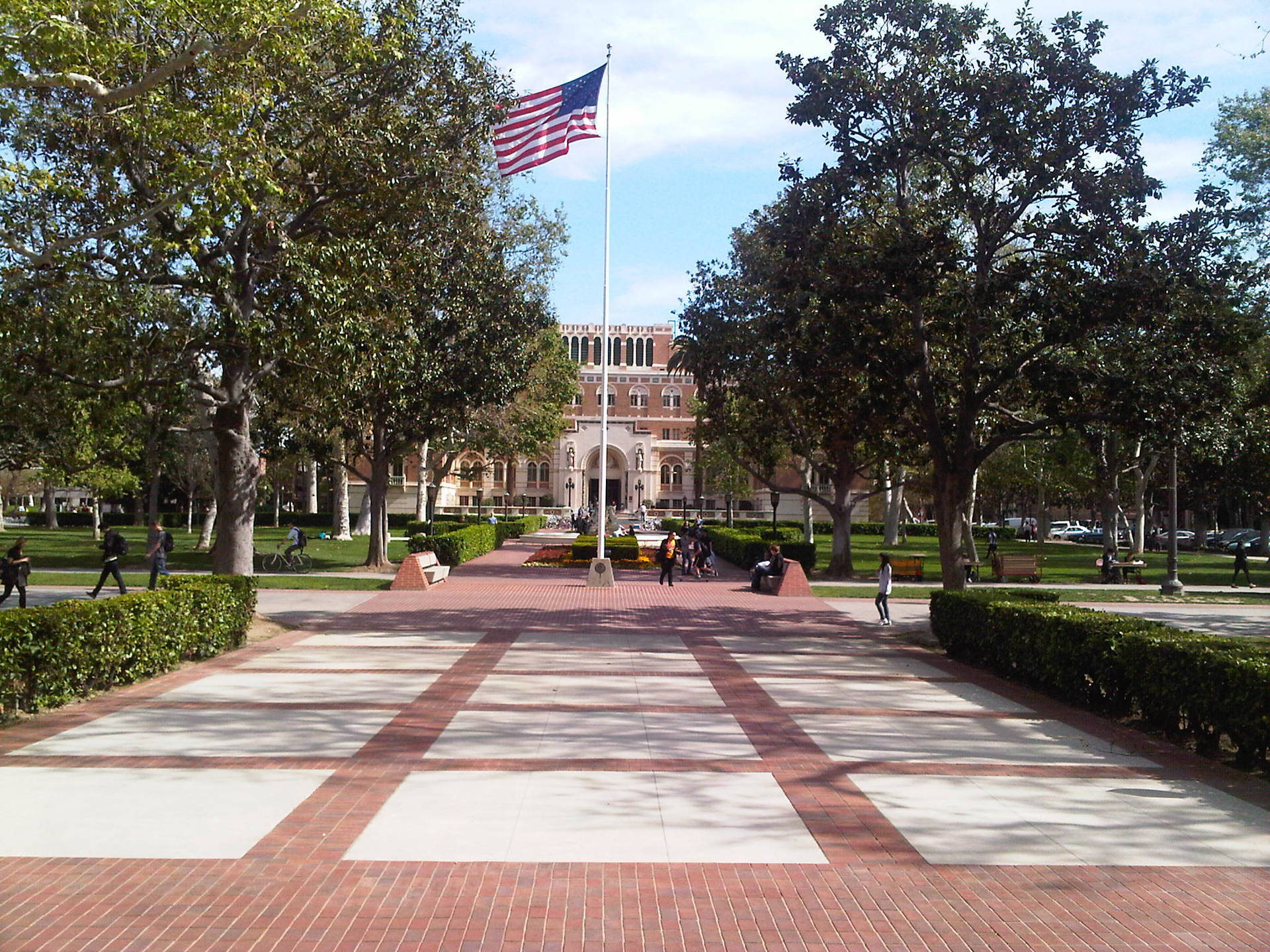 American Flag University Of Southern Carolina