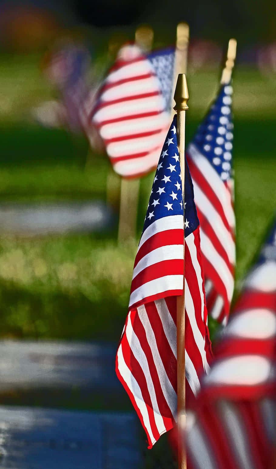 American Flags Row Patriotic Display Background
