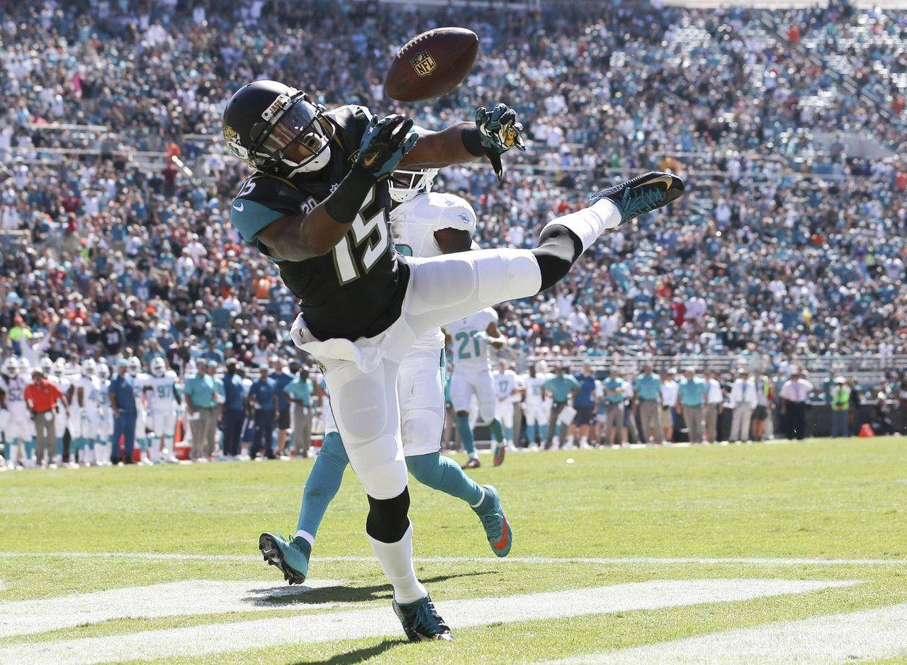 American Football League Allen Robinson Background