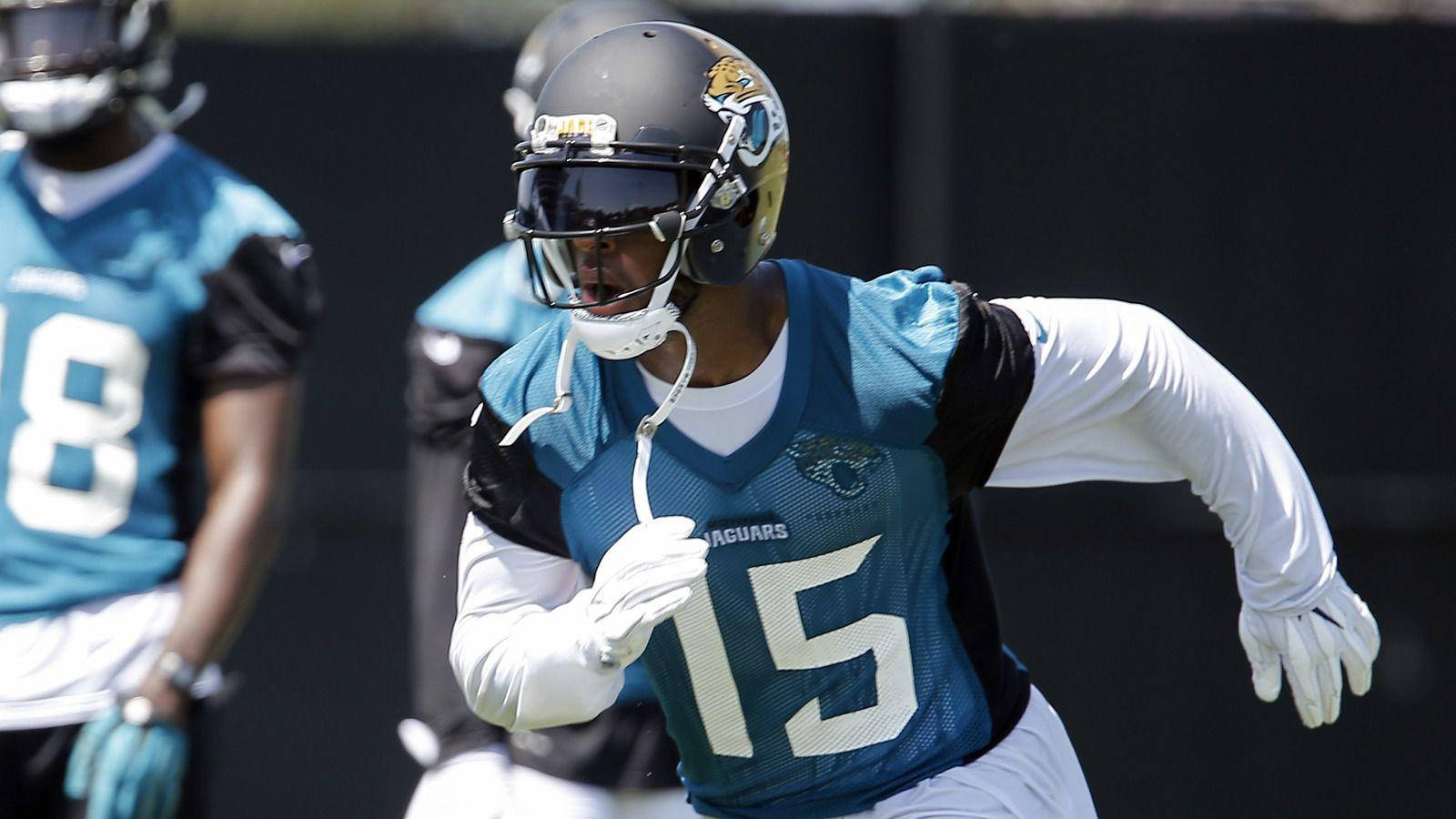 American Football Player Allen Robinson