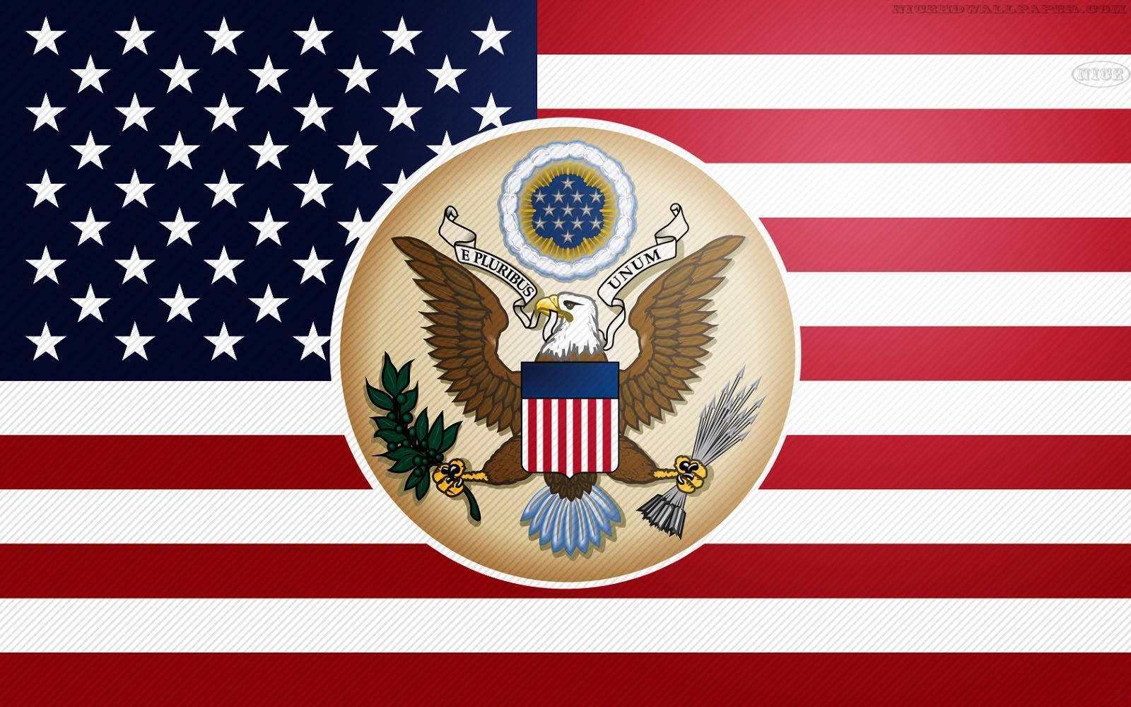 American Government Emblem Background
