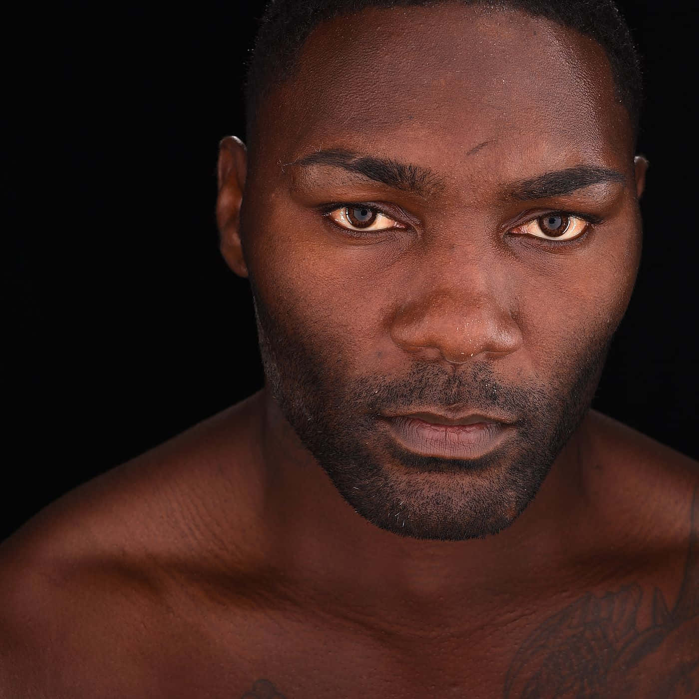 American Mixed Martial Artist Anthony Johnson 2015 Portrait Background