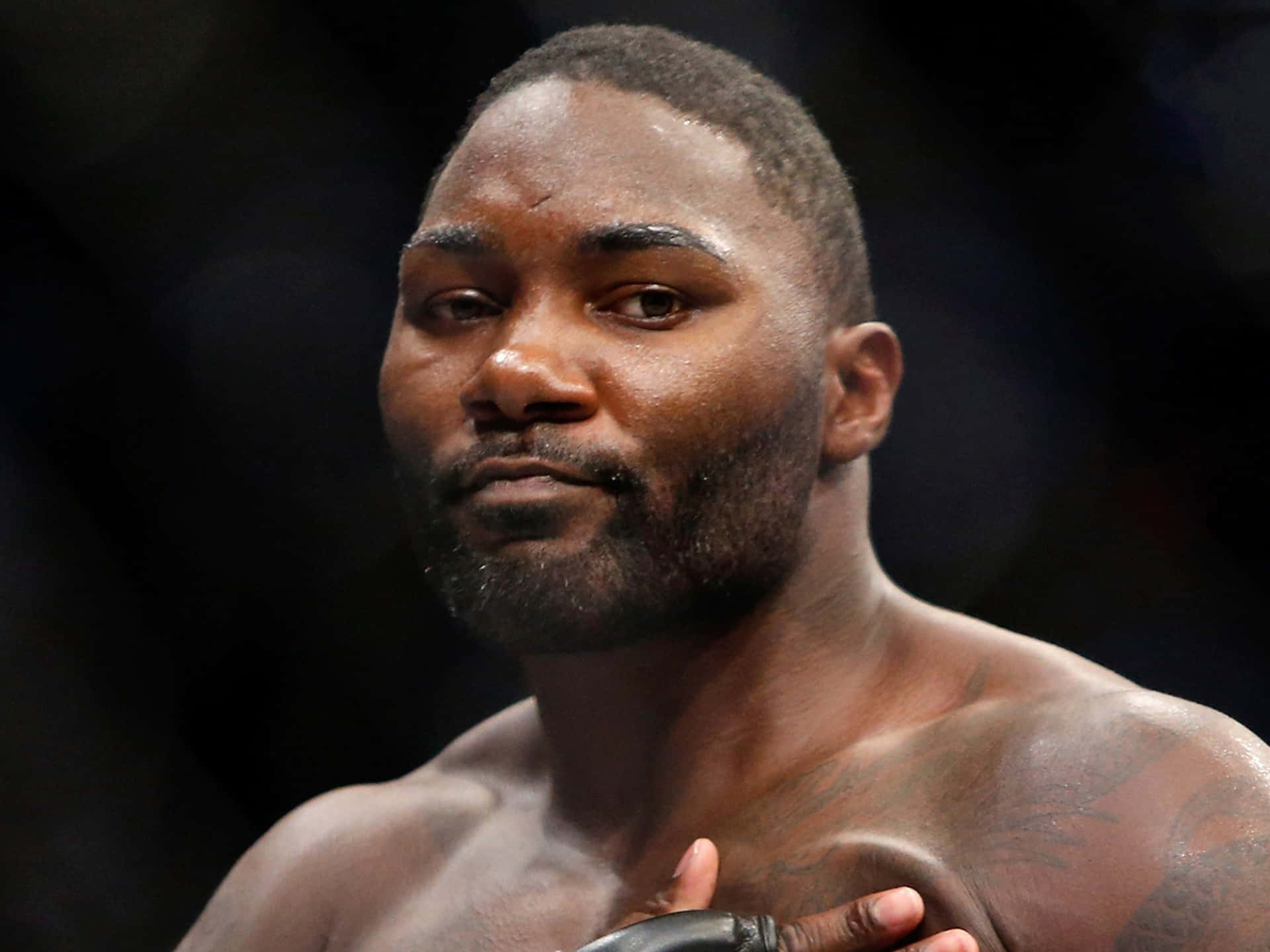 American Mixed Martial Artist Anthony Johnson Background