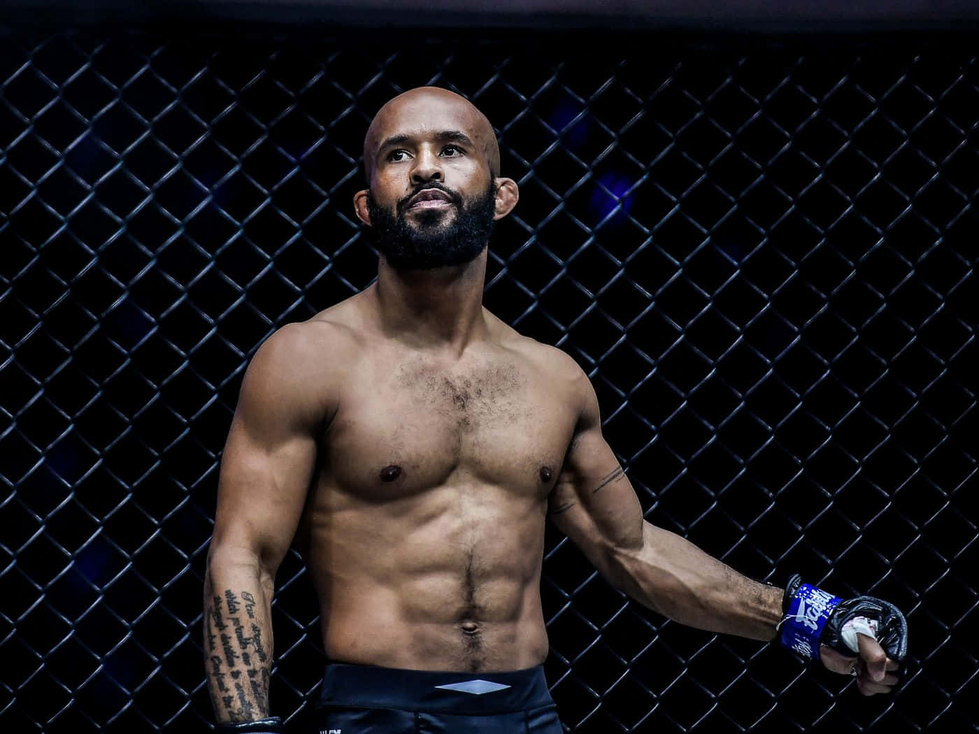 American Mixed Martial Artist Demetrious Johnson Background