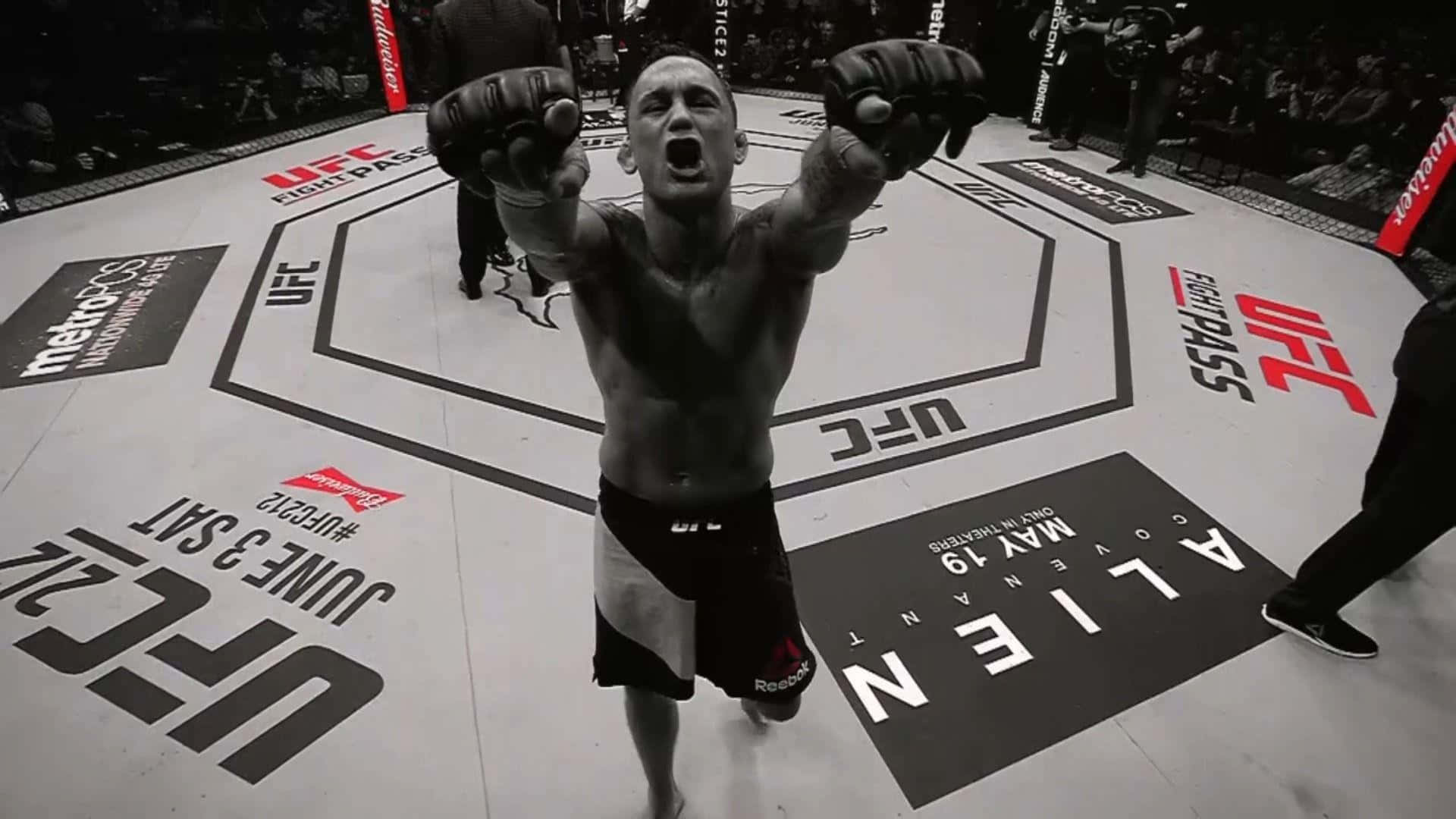 American Mixed Martial Artist Frankie Edgar High Angle Shot Background