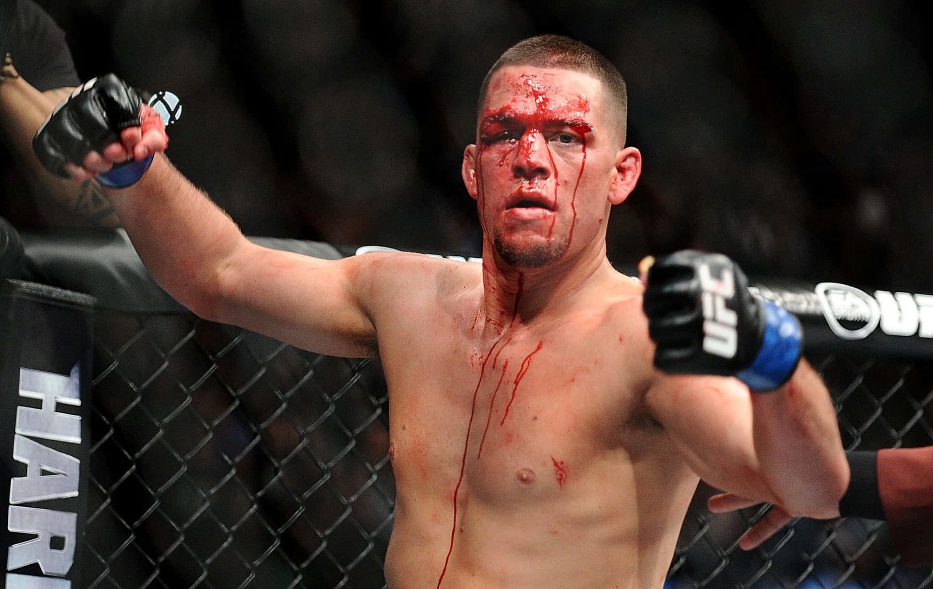 American Mixed Martial Artist Nate Diaz Bloody Face Background