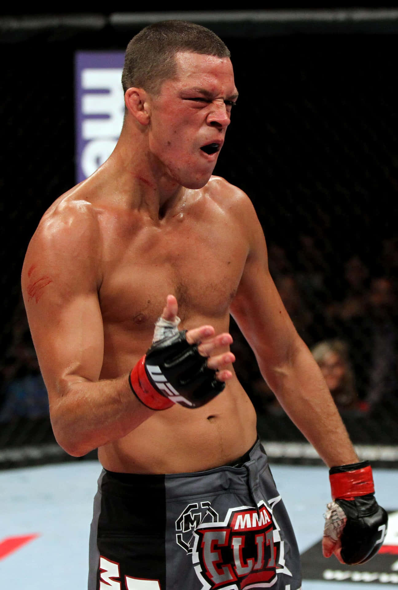 American Mixed Martial Artist Nate Diaz Ufc Background