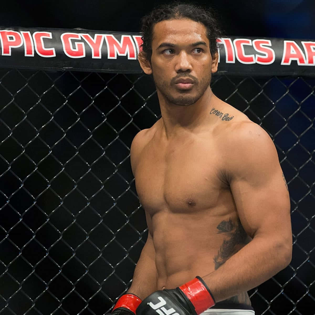 American Mixed Martial Arts Fighter Ben Henderson Still Background