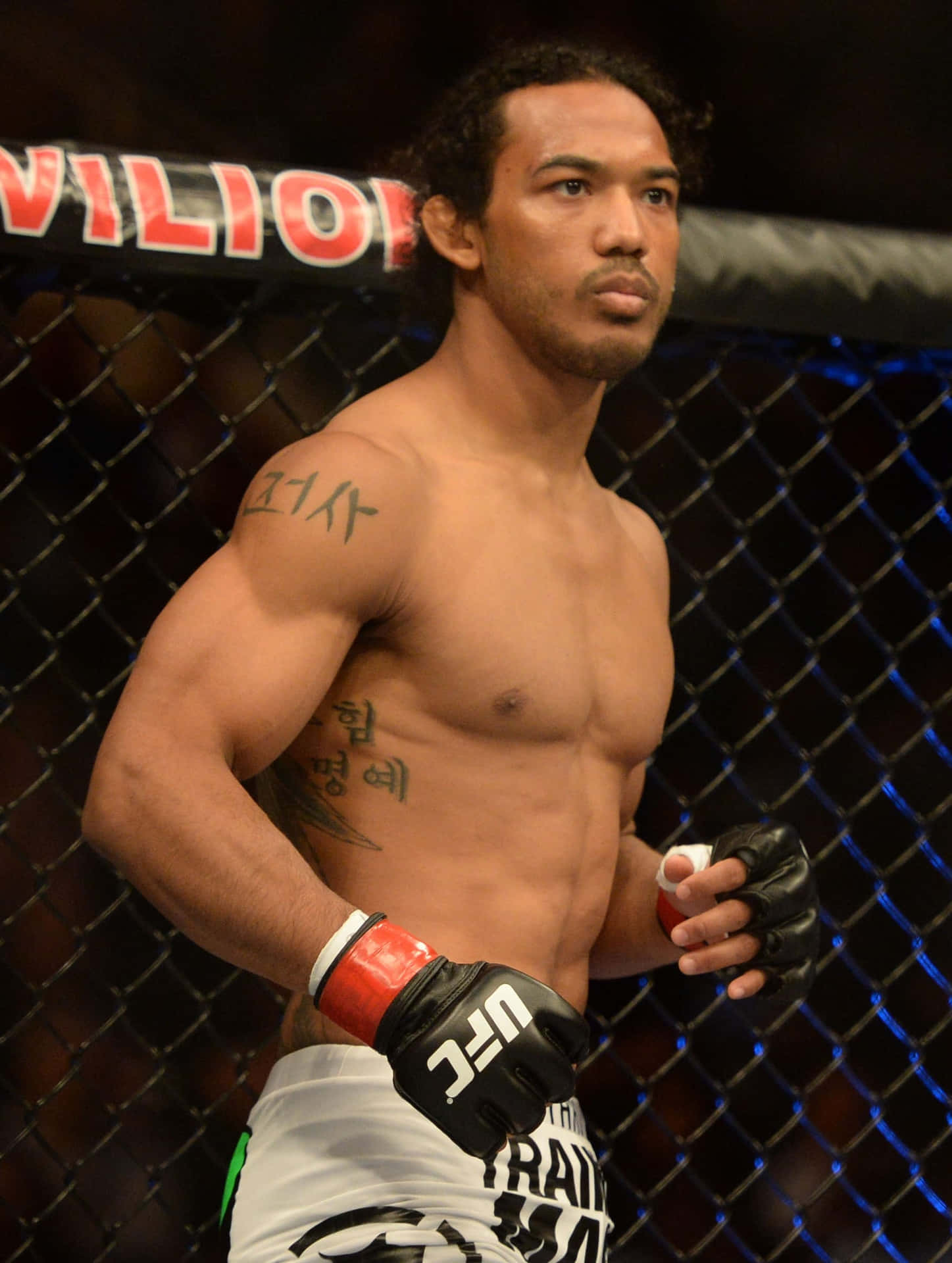 American Mma Ben Henderson At The Start Of The Fight Background