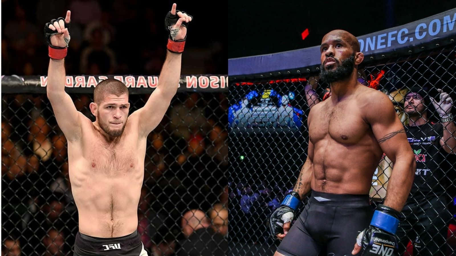 American Mma Demetrious Johnson And Khabib Nurmagomedov Background