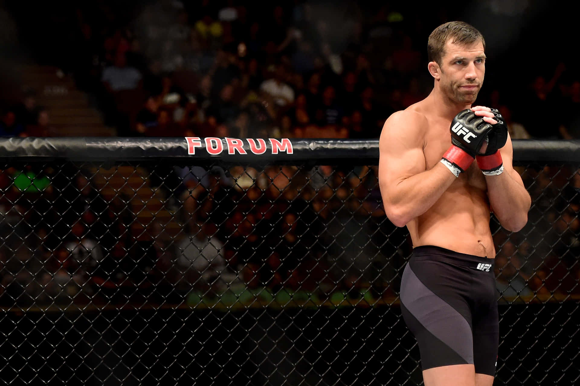 American Mma Fighter Luke Rockhold Ufc 199 Event Background