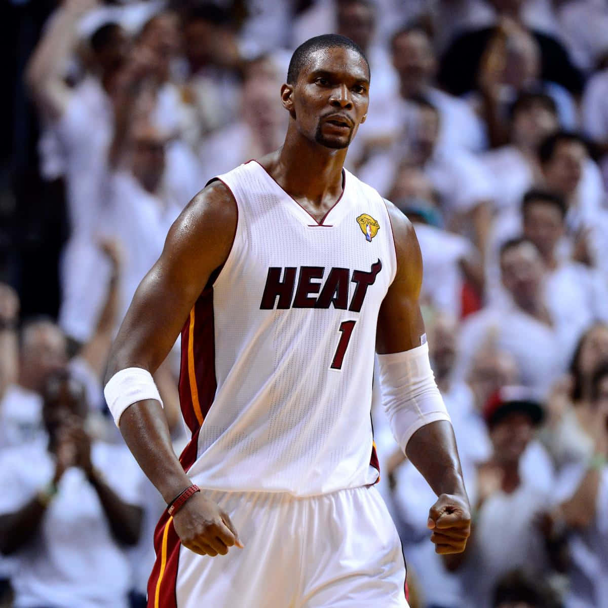 American Professional Basketball Player Chris Bosh Medium Angle Shot Background